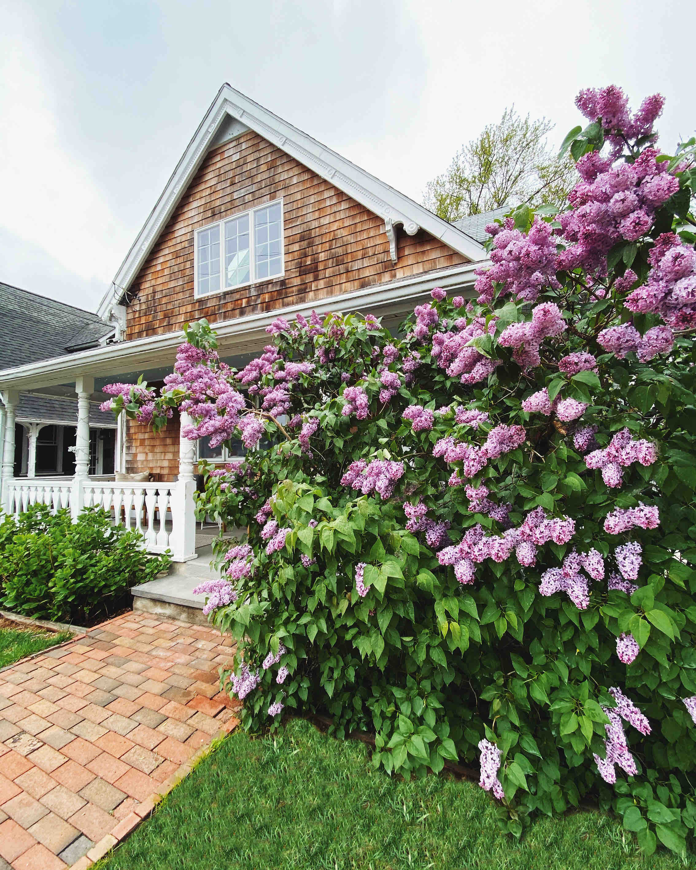 Entire Cottage in Pawtuxet Village Cottages for Rent in Cranston