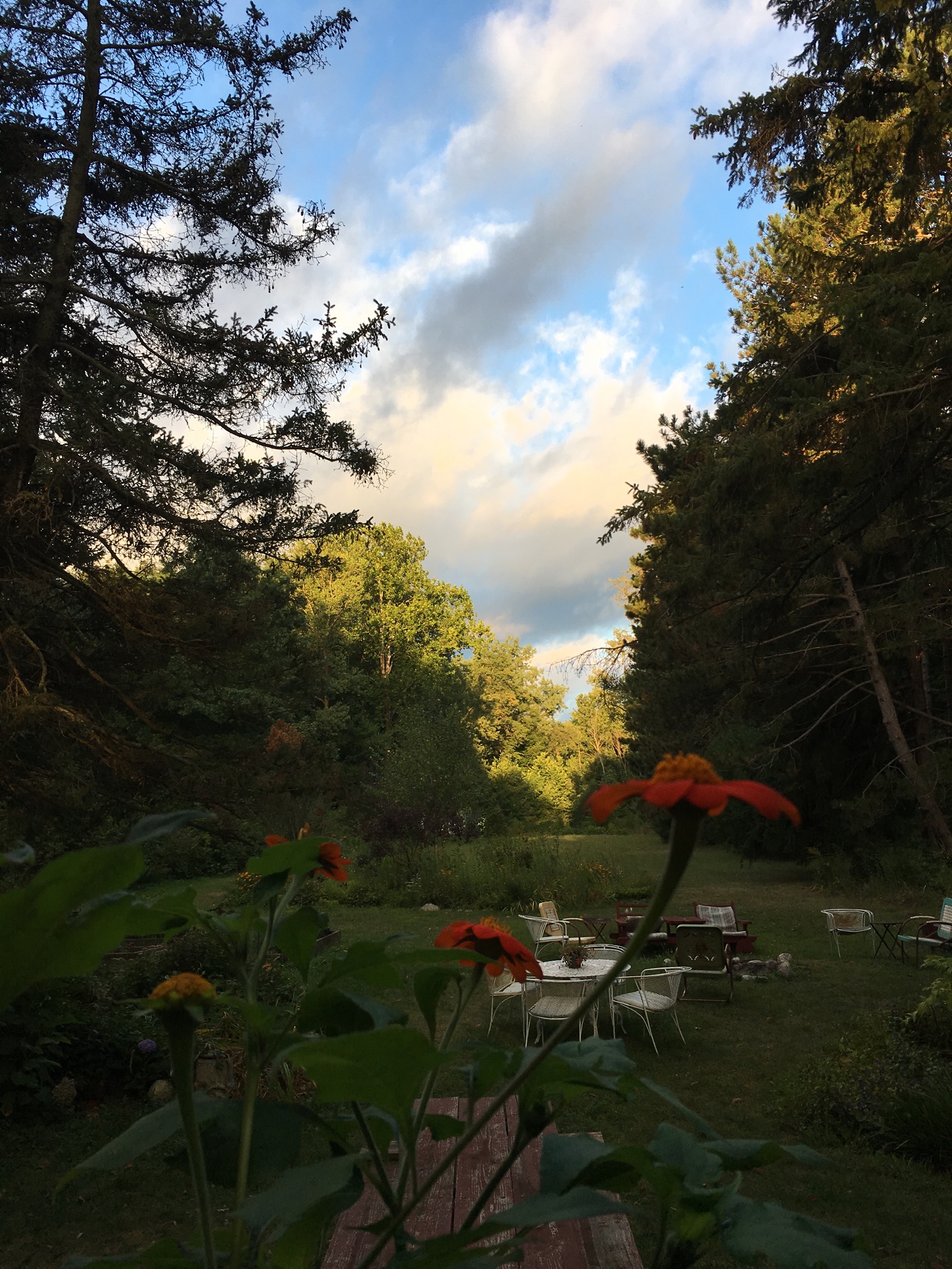 Blueberry Fields/ House and Retreat Cottages for Rent in Three Oaks