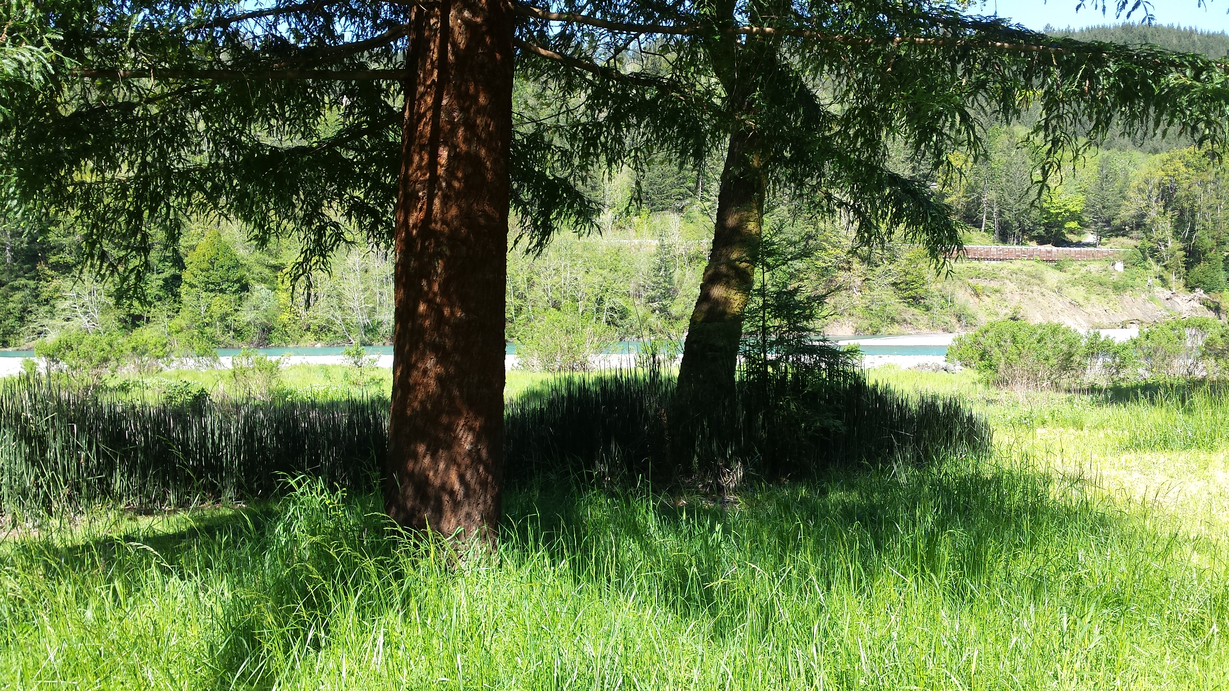 Chetco River Guest Cabin, located on 3 secure ac.