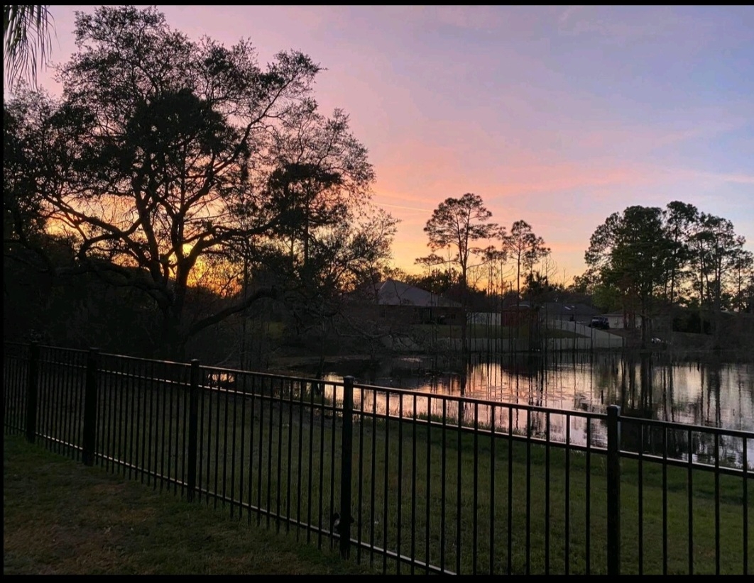 Charming & quiet Lakeside home with views