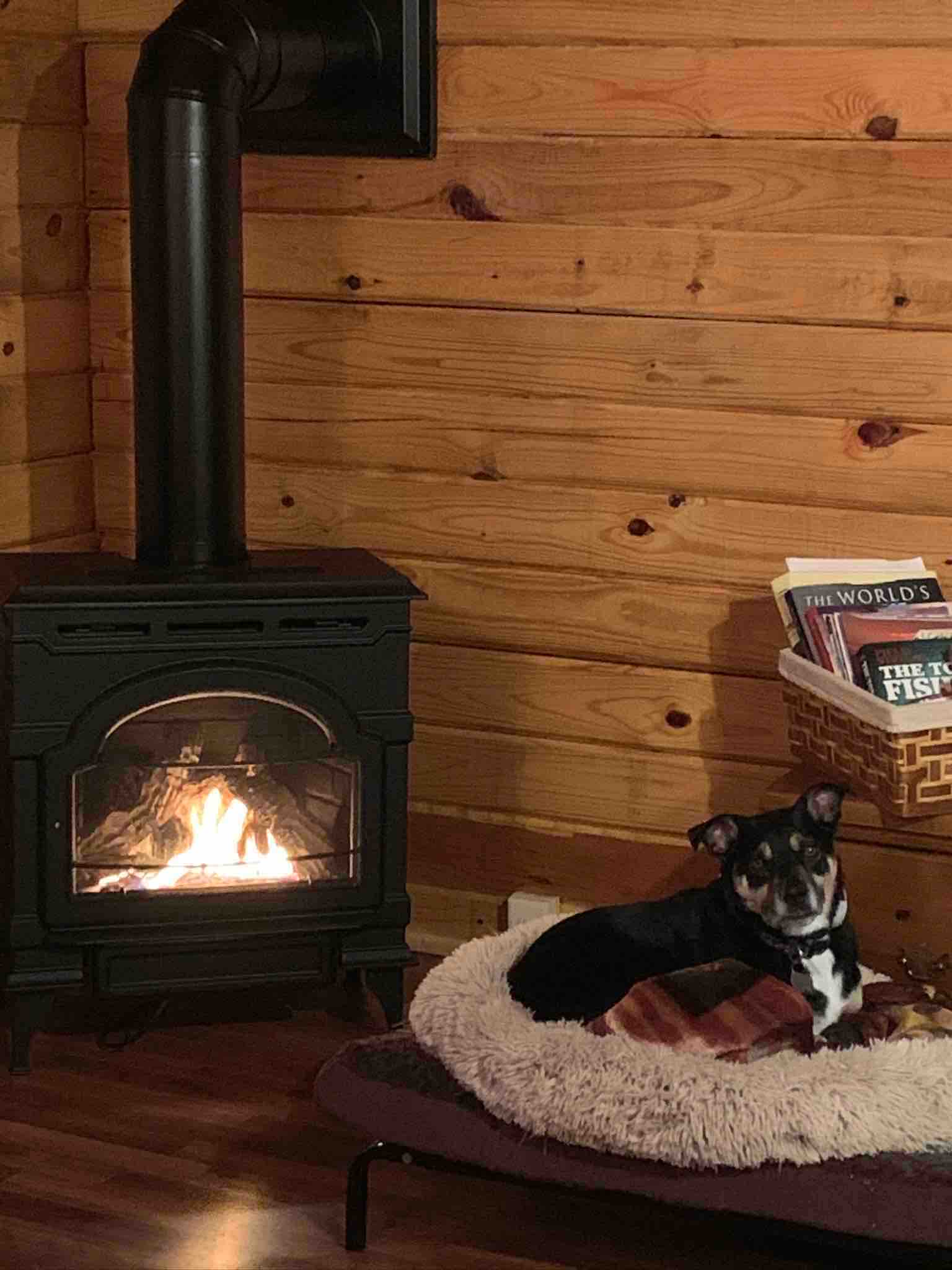 PD Cozy Cabin River View Cabins for Rent in Trego, Wisconsin