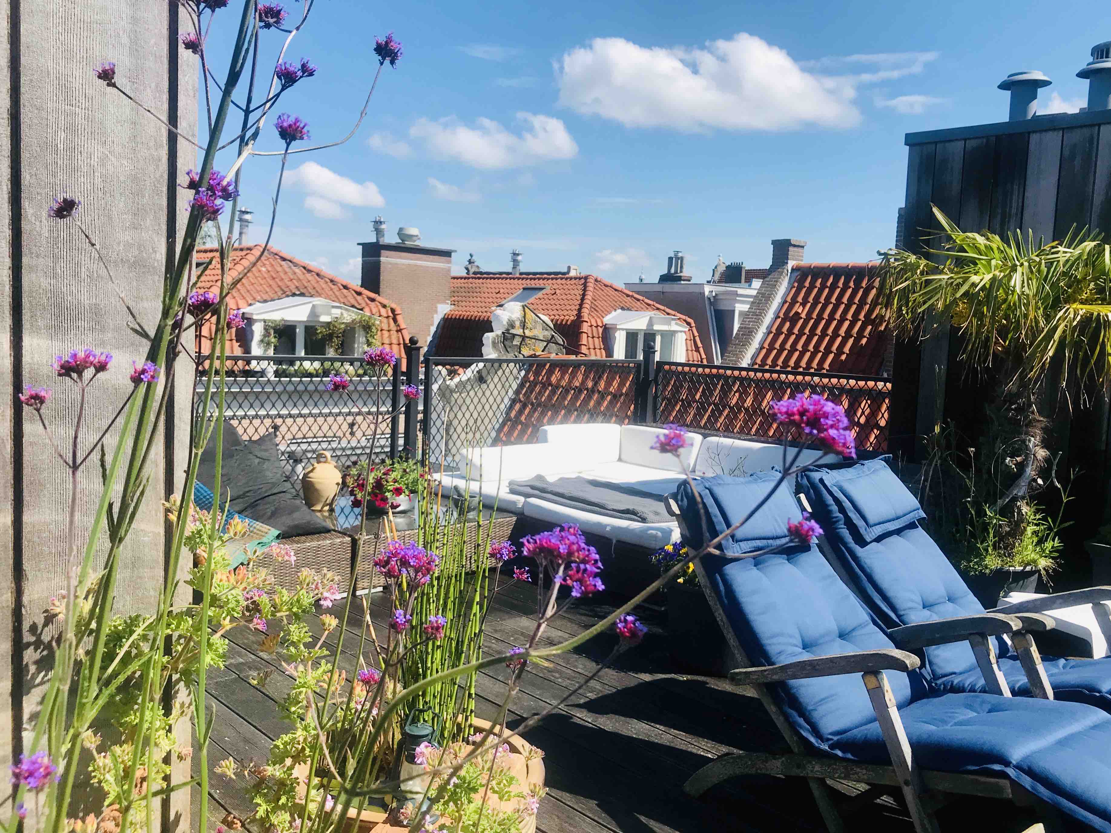 City Centre En-Suite Shower Room. Roof Terrace.