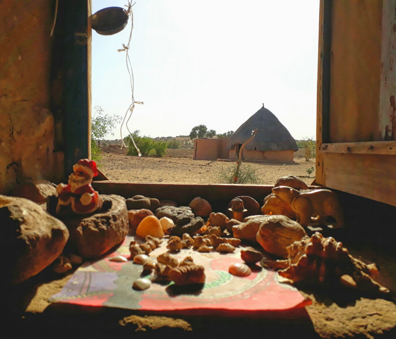 GreenArts-Experience the desert in a natural way