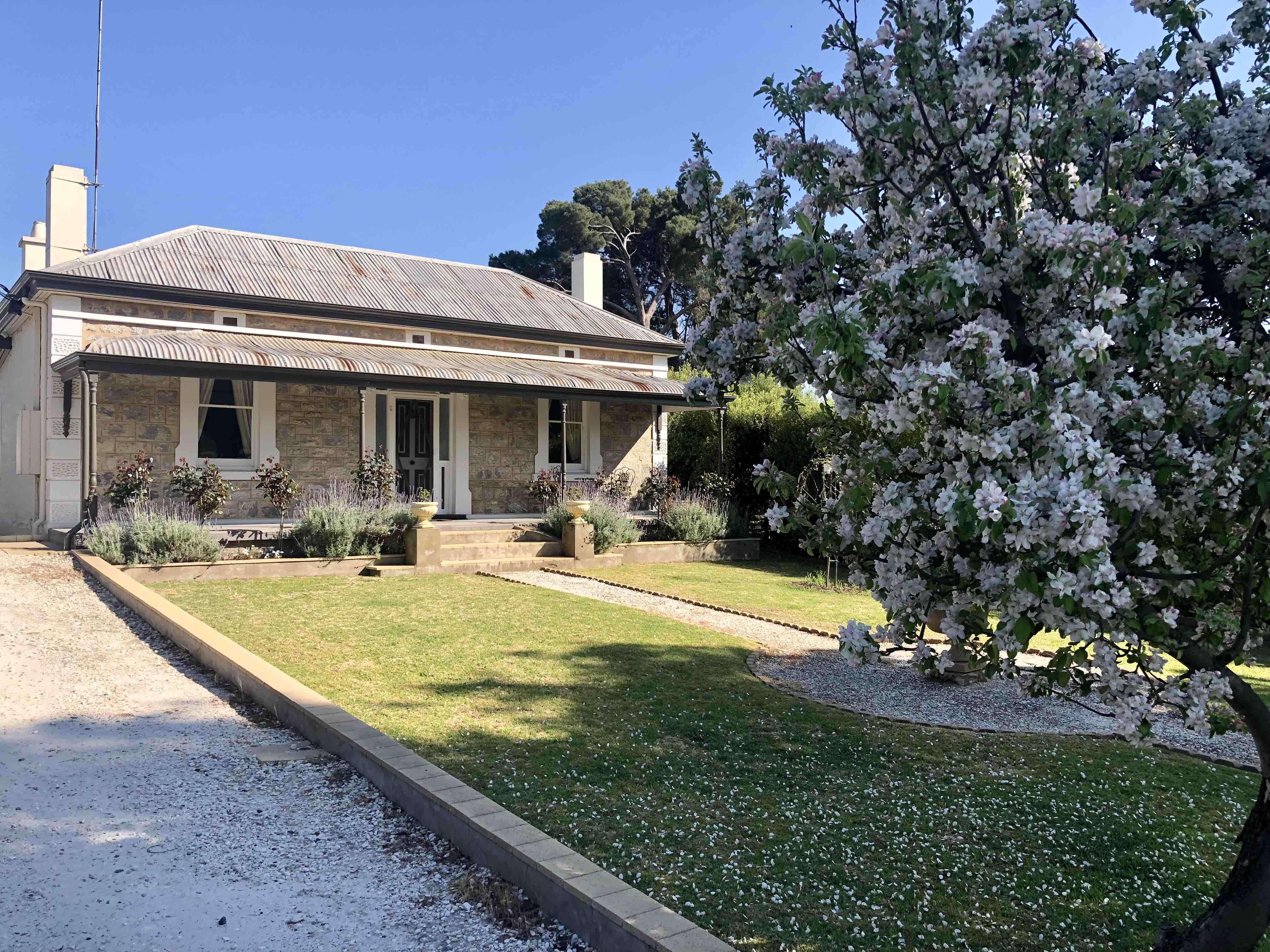 Devitt on French, quiet and romantic in Angaston, Barossa Valley