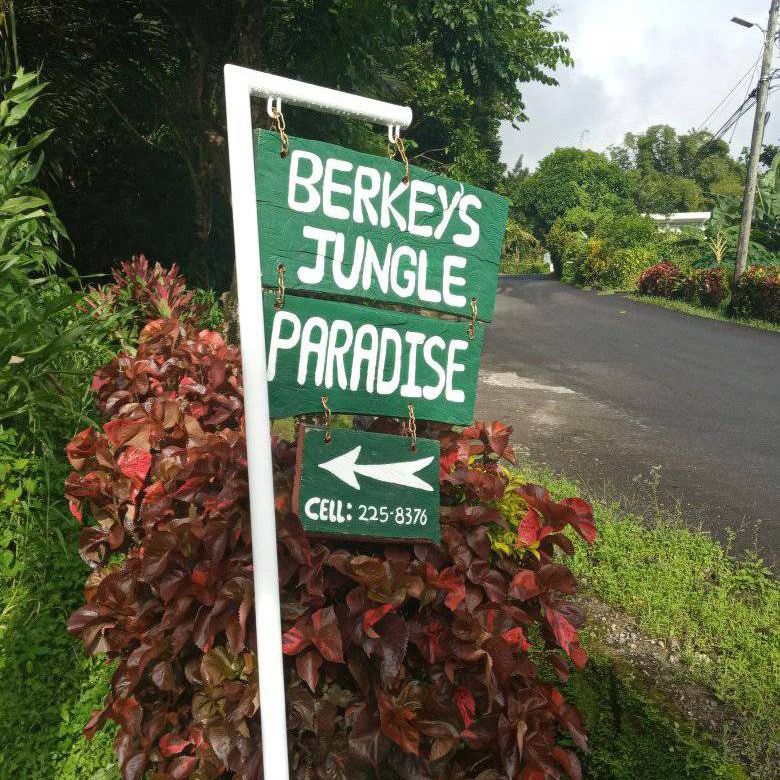 Berkey's Jungle Paradise Camping