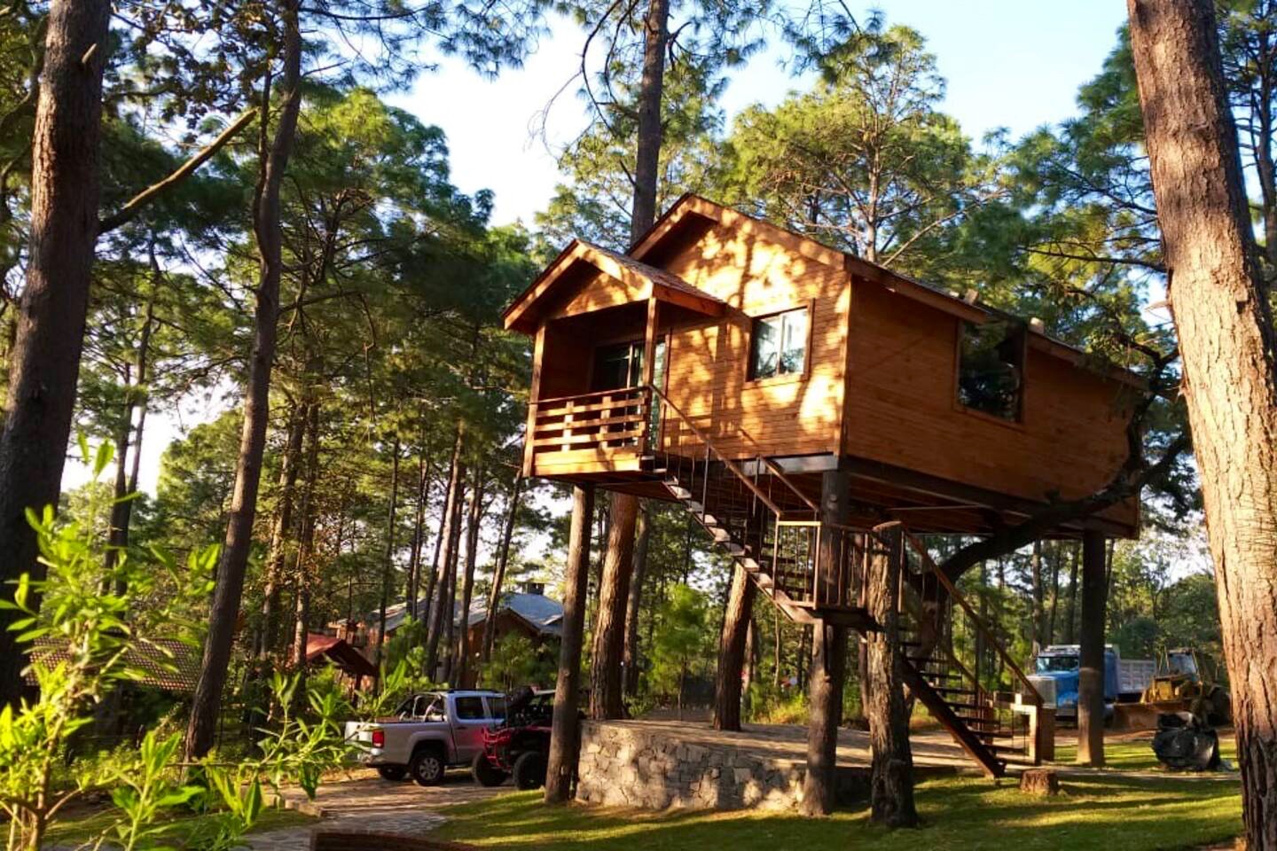 Cabaña del árbol en bosque Mazamitla entre tigres - Cabins for Rent in ...