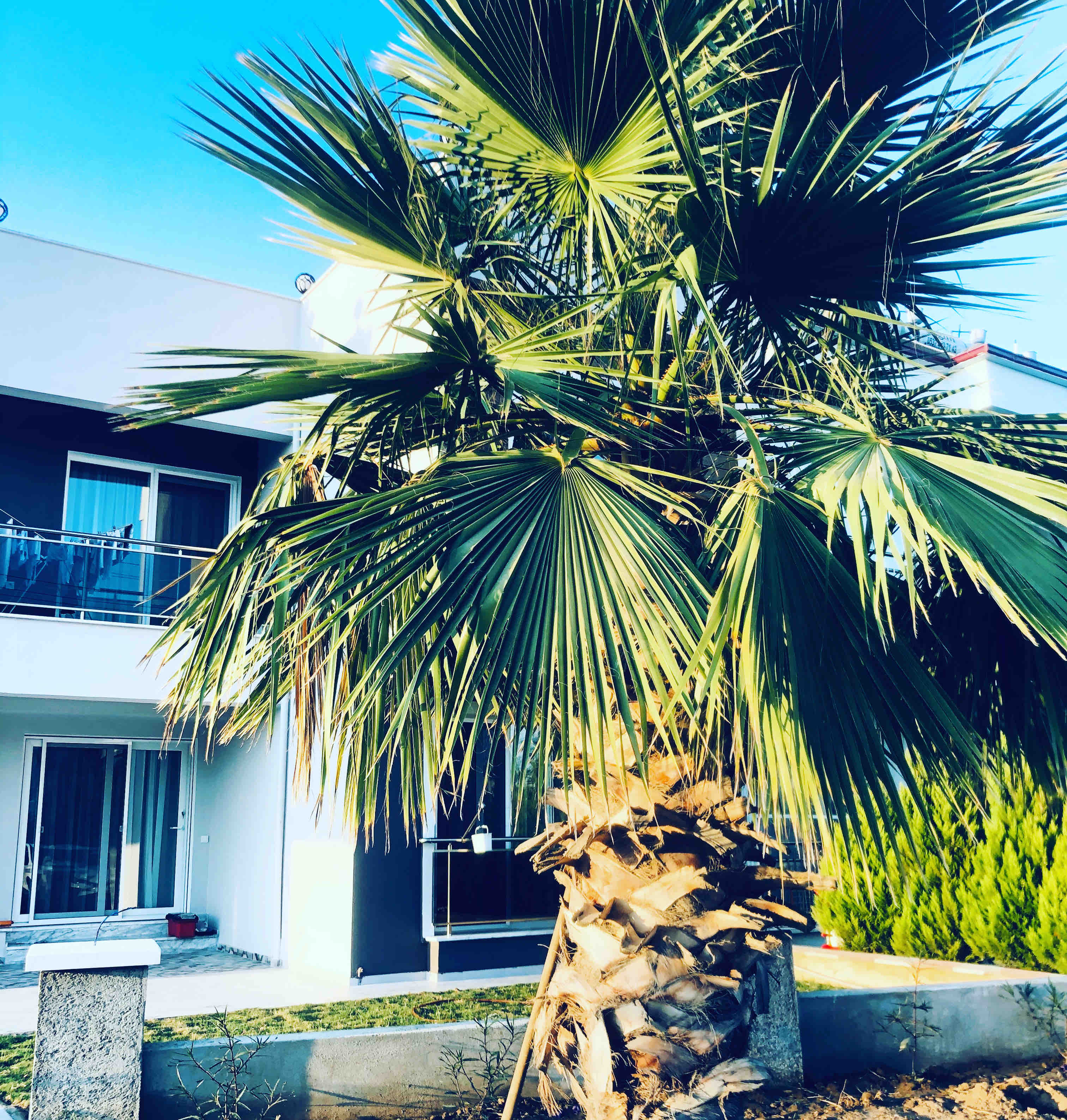 Ayris Apart Milas şehrinde Kiralık Apartman daireleri, Muğla, Türkiye