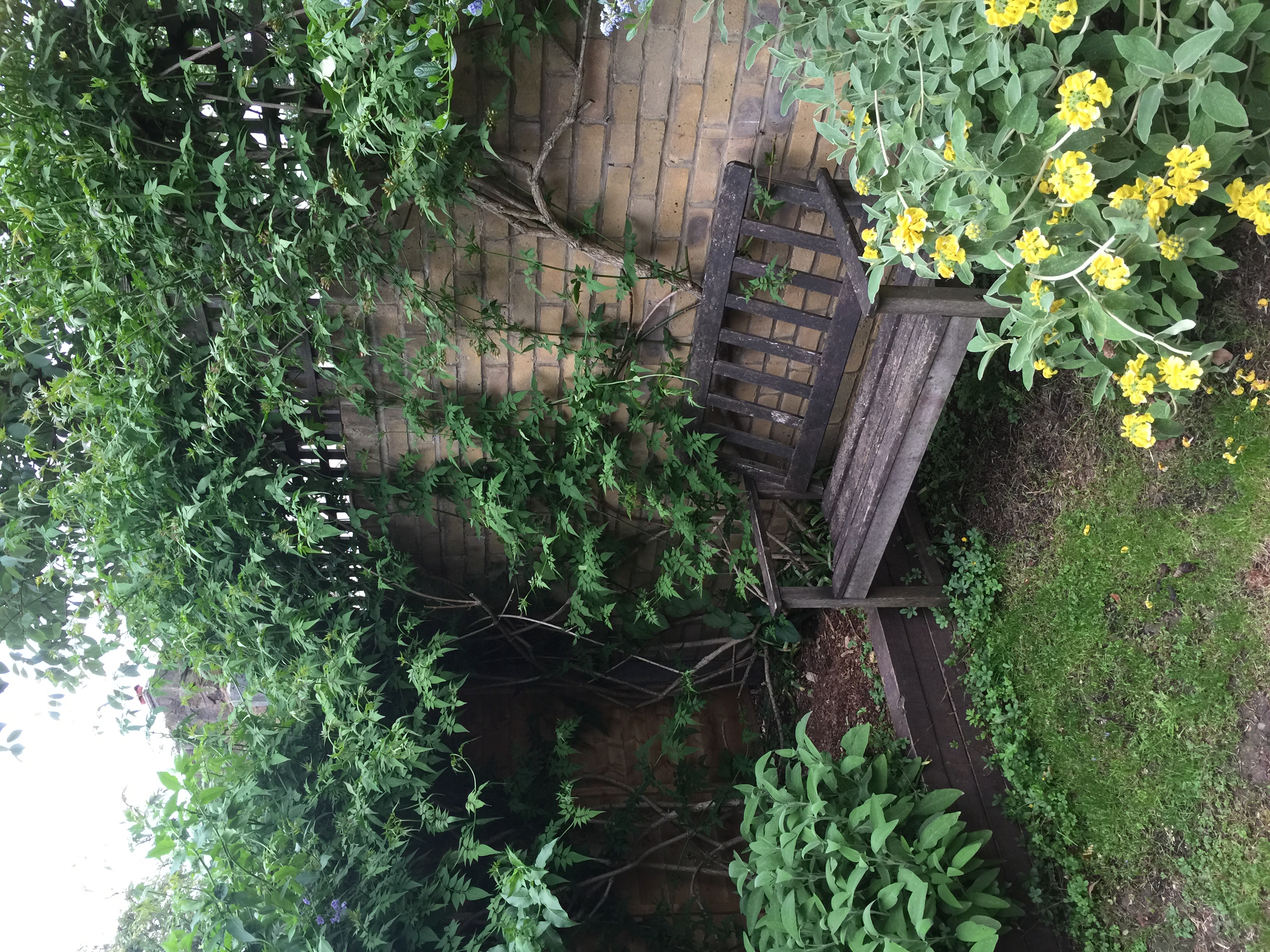 Room with a garden in Camden, London