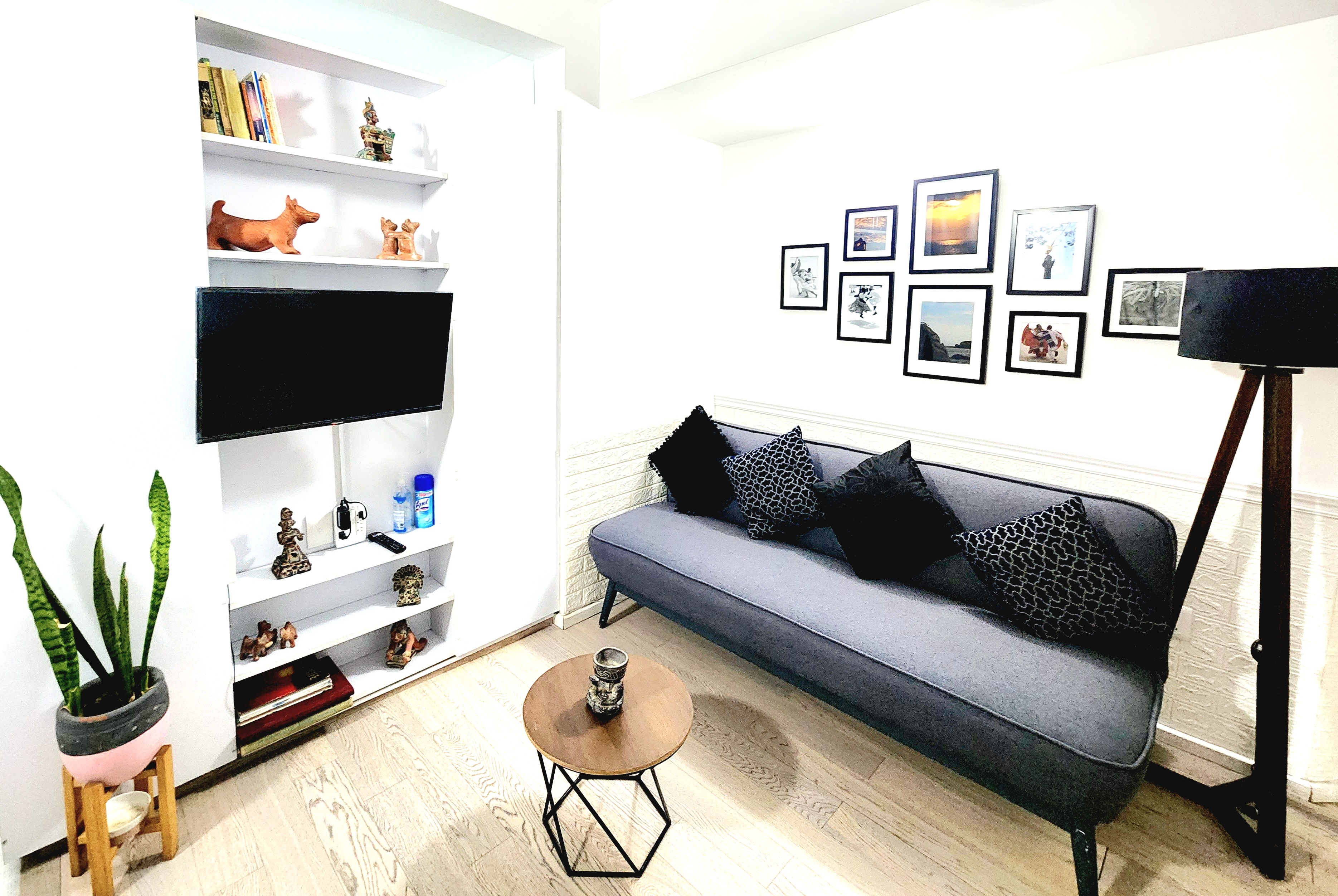 Hermoso Loft en el centro de la Cd. de México D1