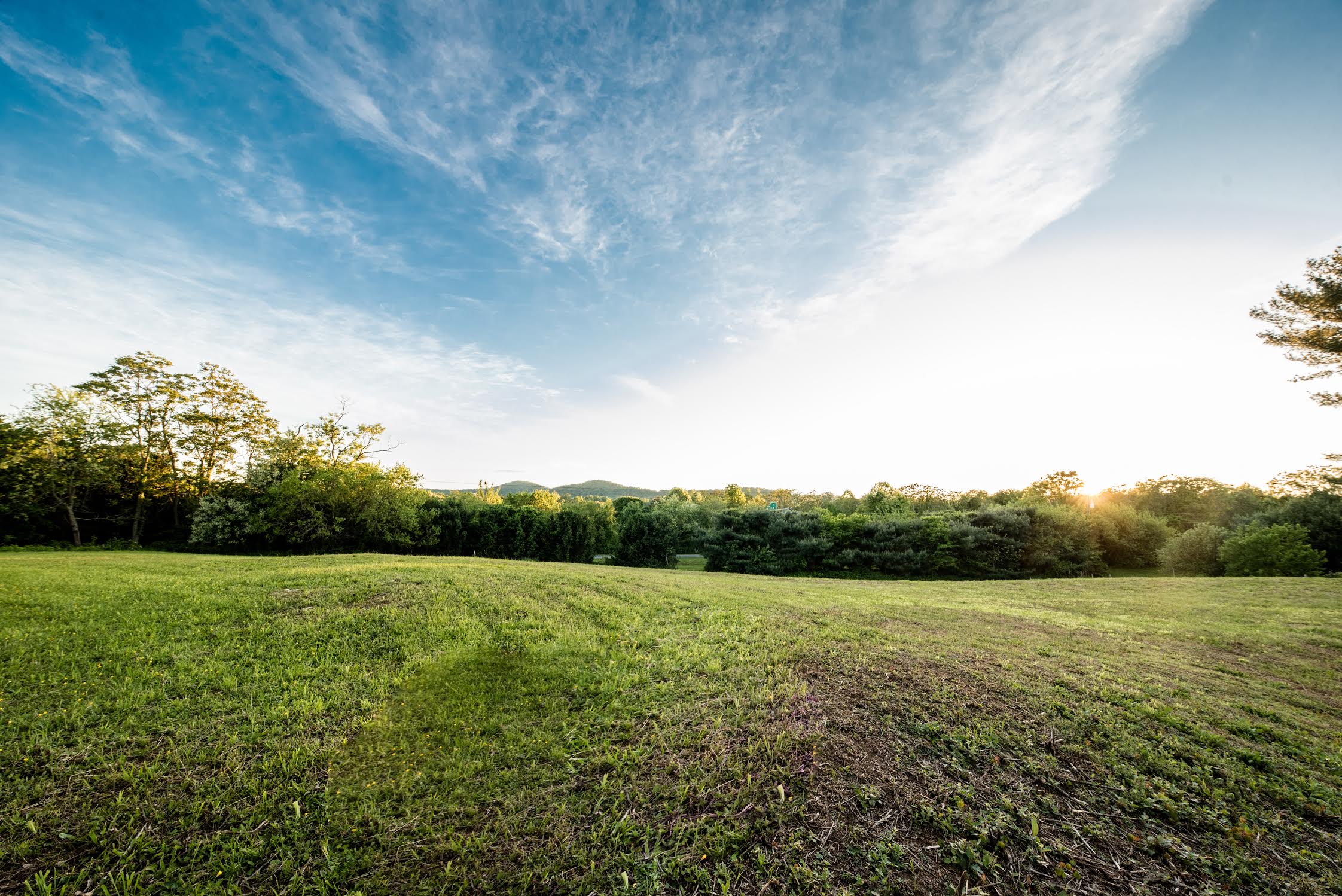 Spectacular Home!VA Horse, Bike and Wine Country Houses for Rent in