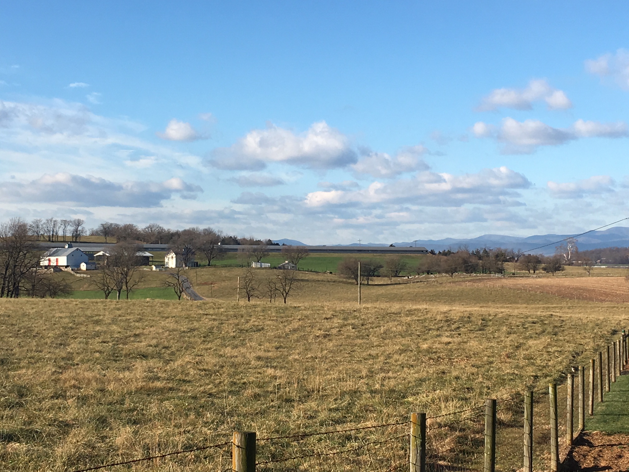 Harrisonburg Studio Apartment - Guest suites for Rent in Harrisonburg