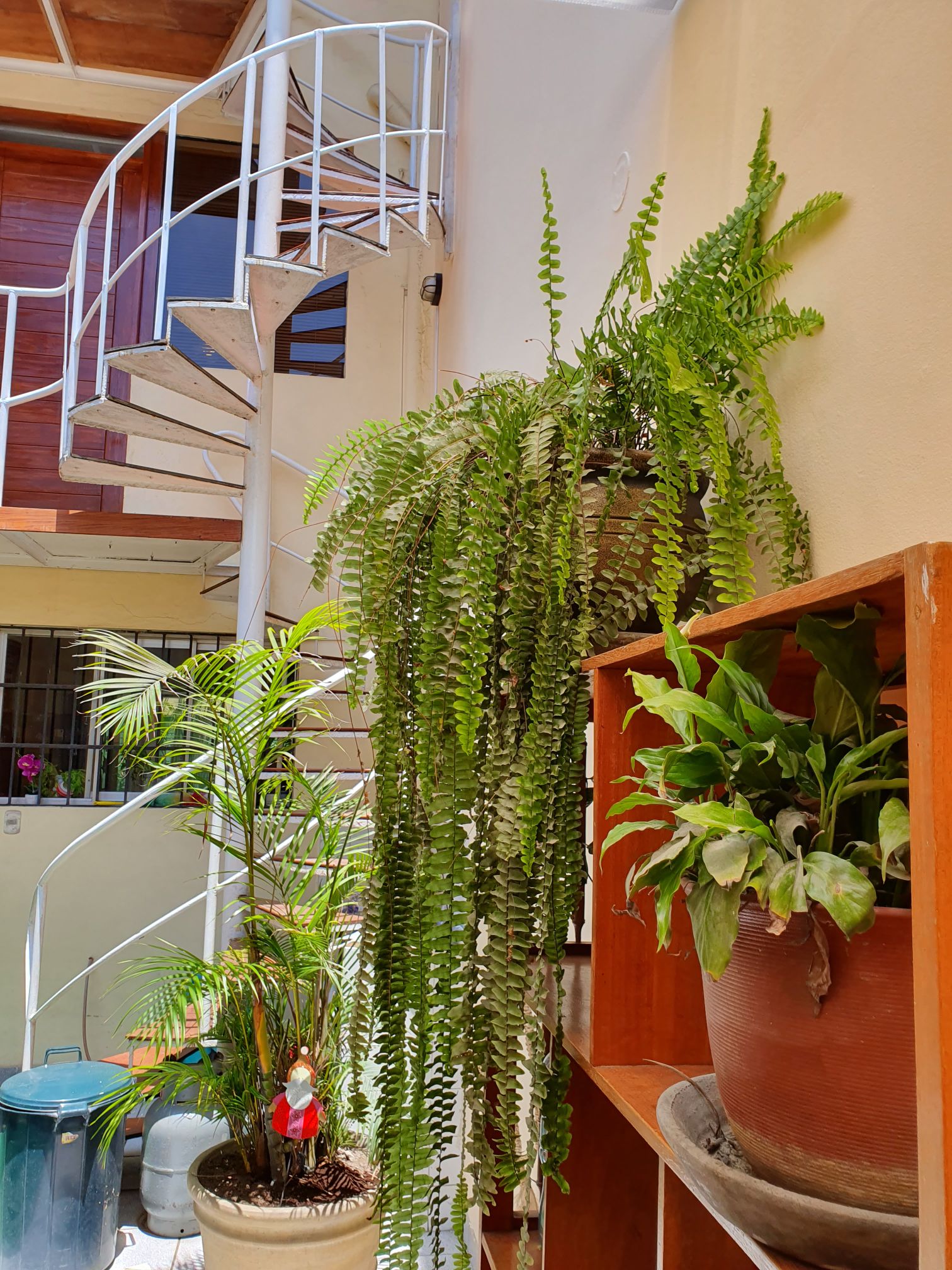 Central apartment in Surco.