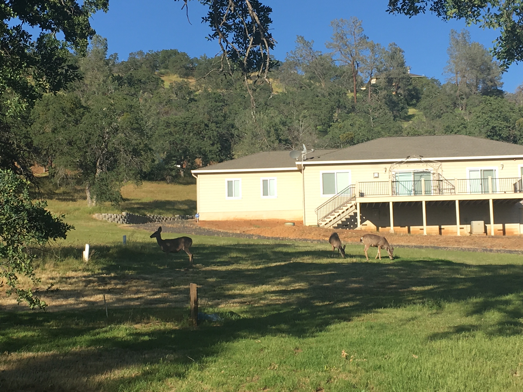 Amazing Views@Lake Don Pedro/Lake McClure