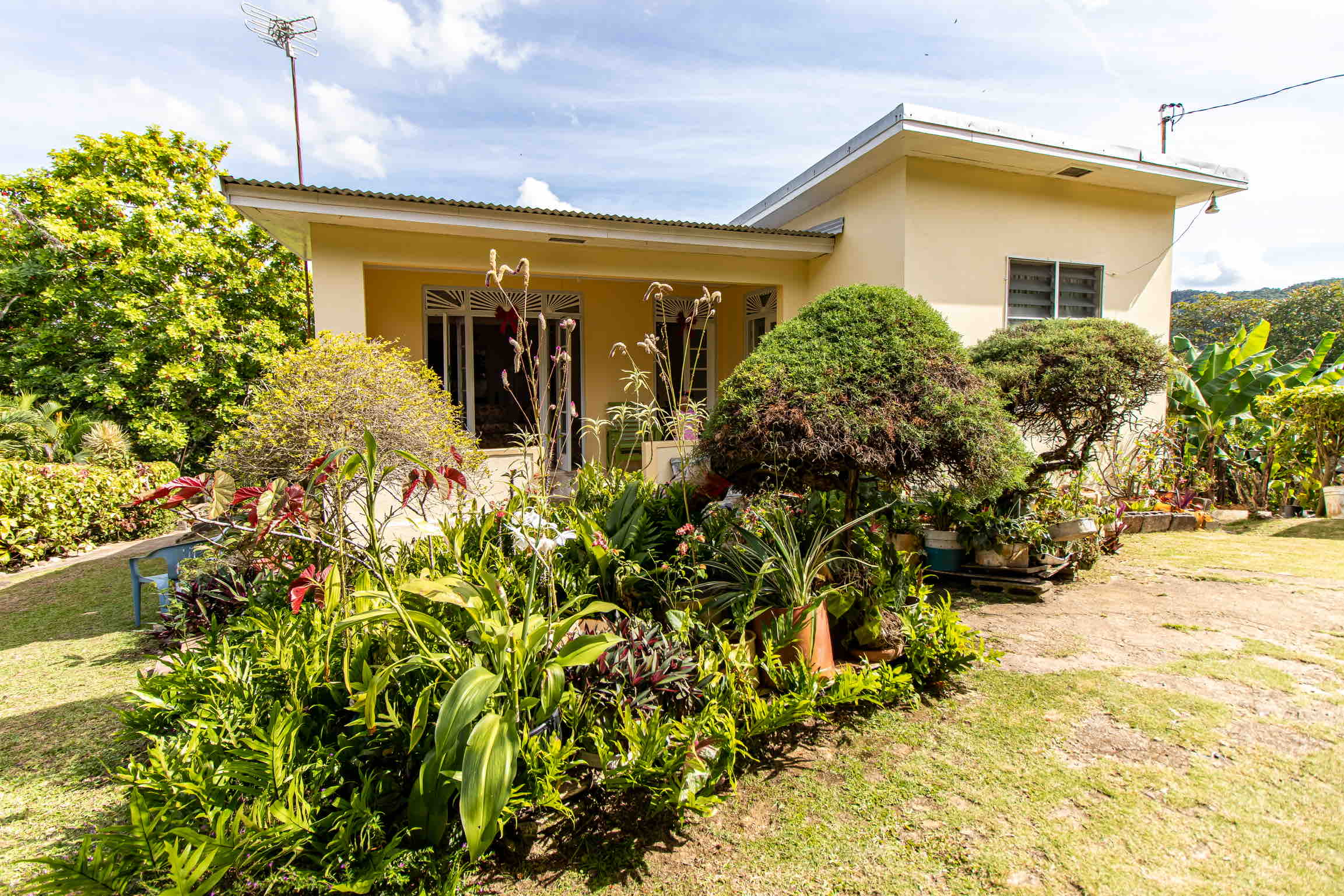 Tranquility Cottage. Houses for Rent in Beckford Kraal, Clarendon