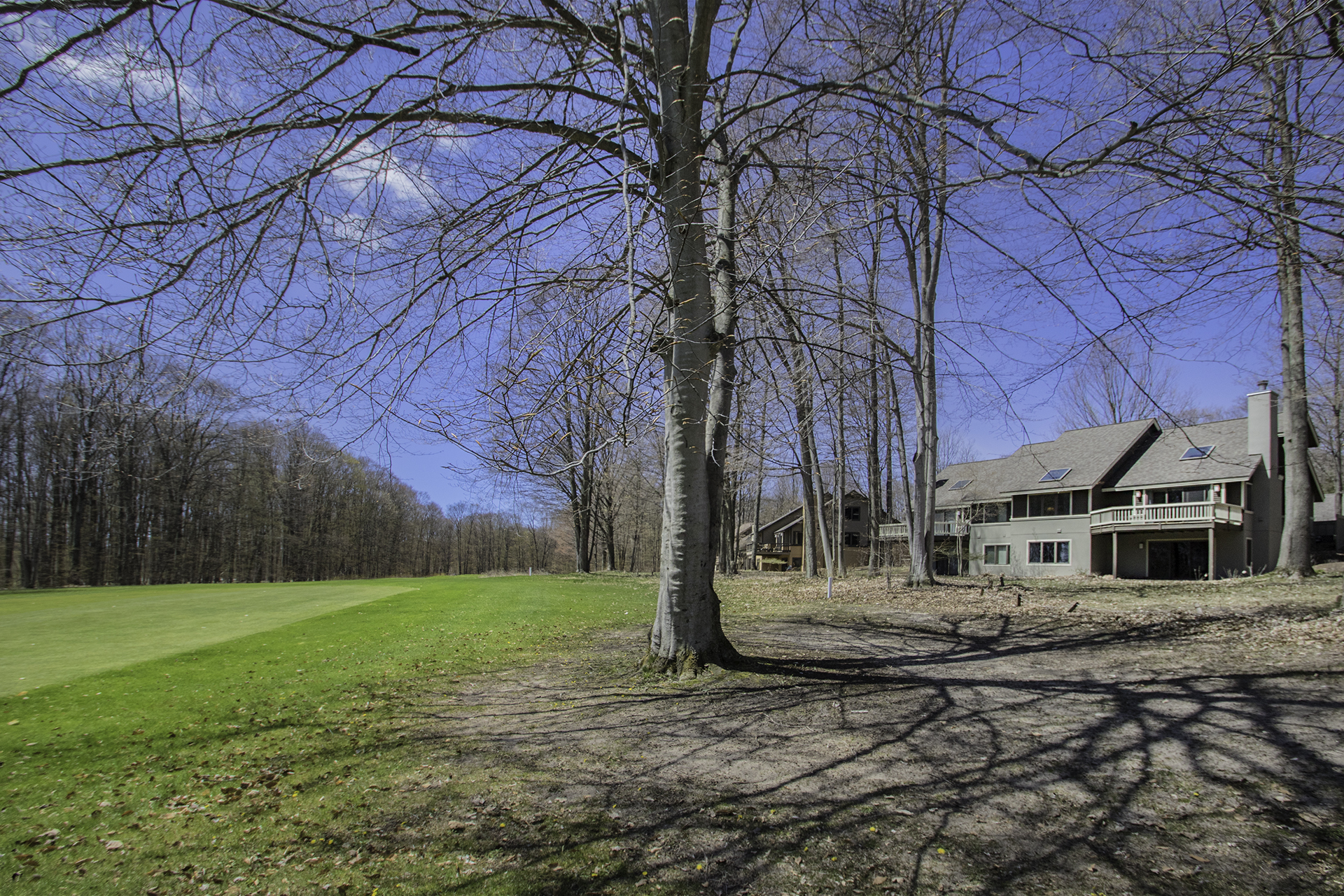 The Ski & Tee - 5 bdrm - 18th fairway / Ski trail