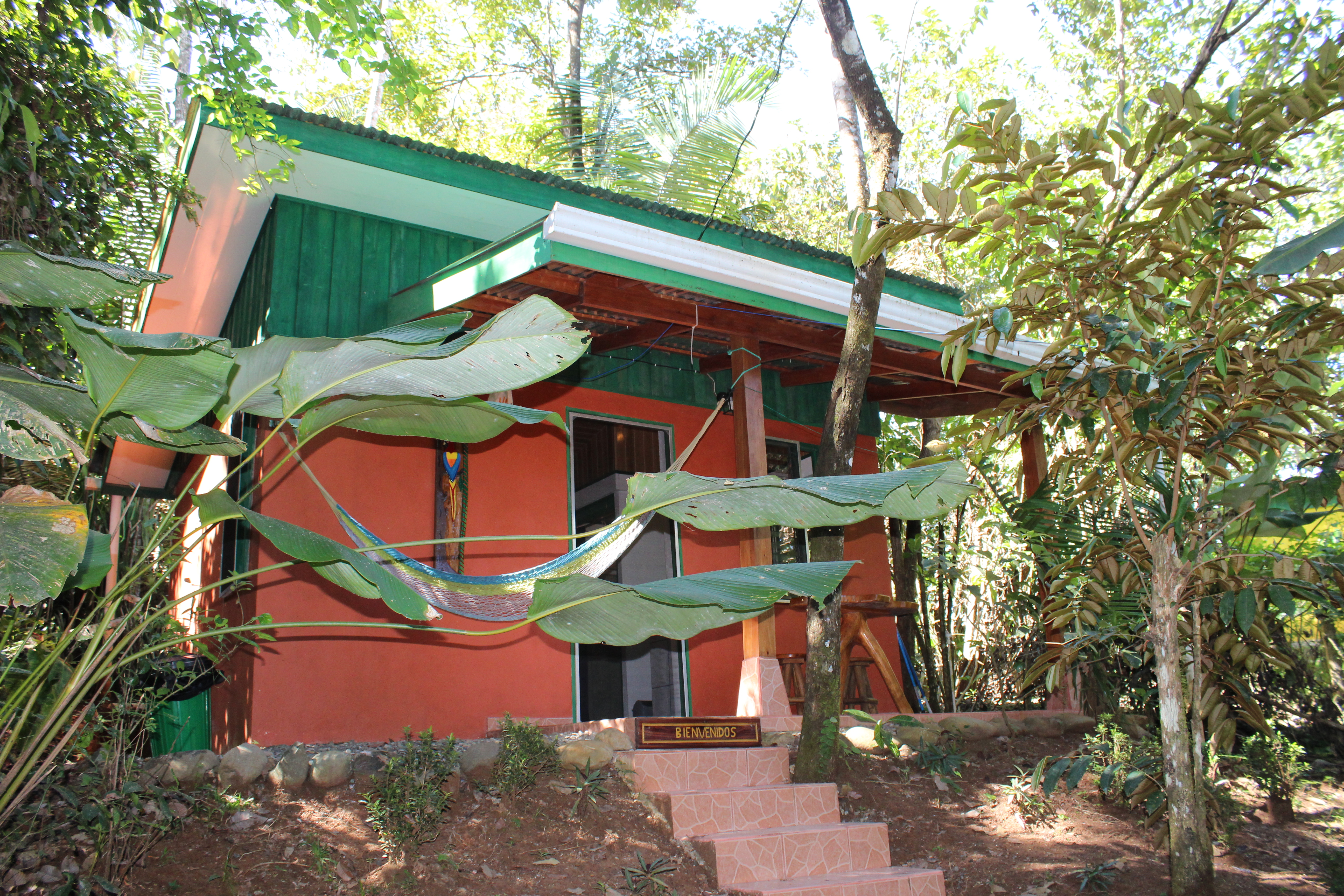 Jolly's Jungle-Apartment