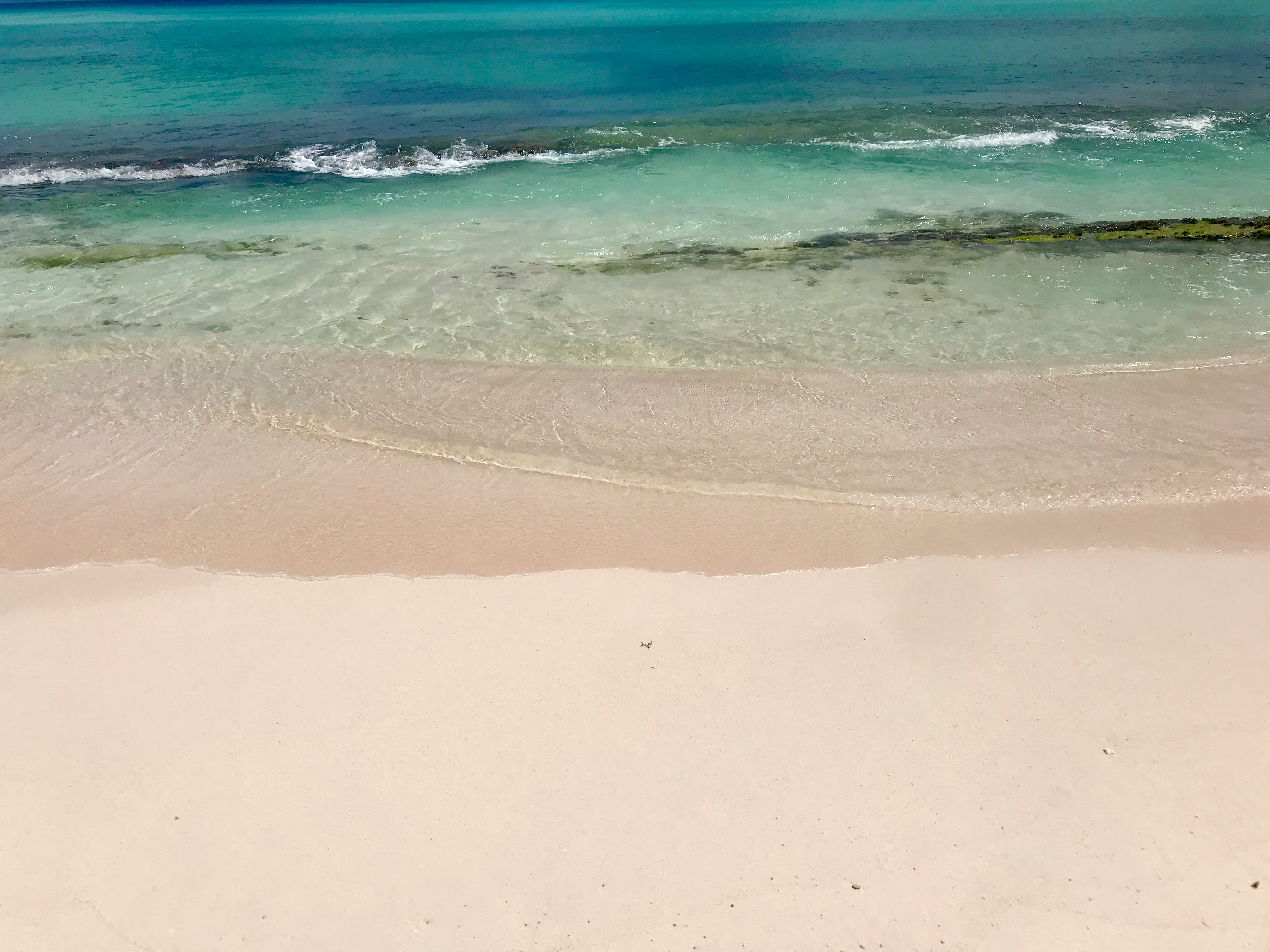 Anidele Zen - 2BR Rockley Oasis/ Beach/Pool.BBQ