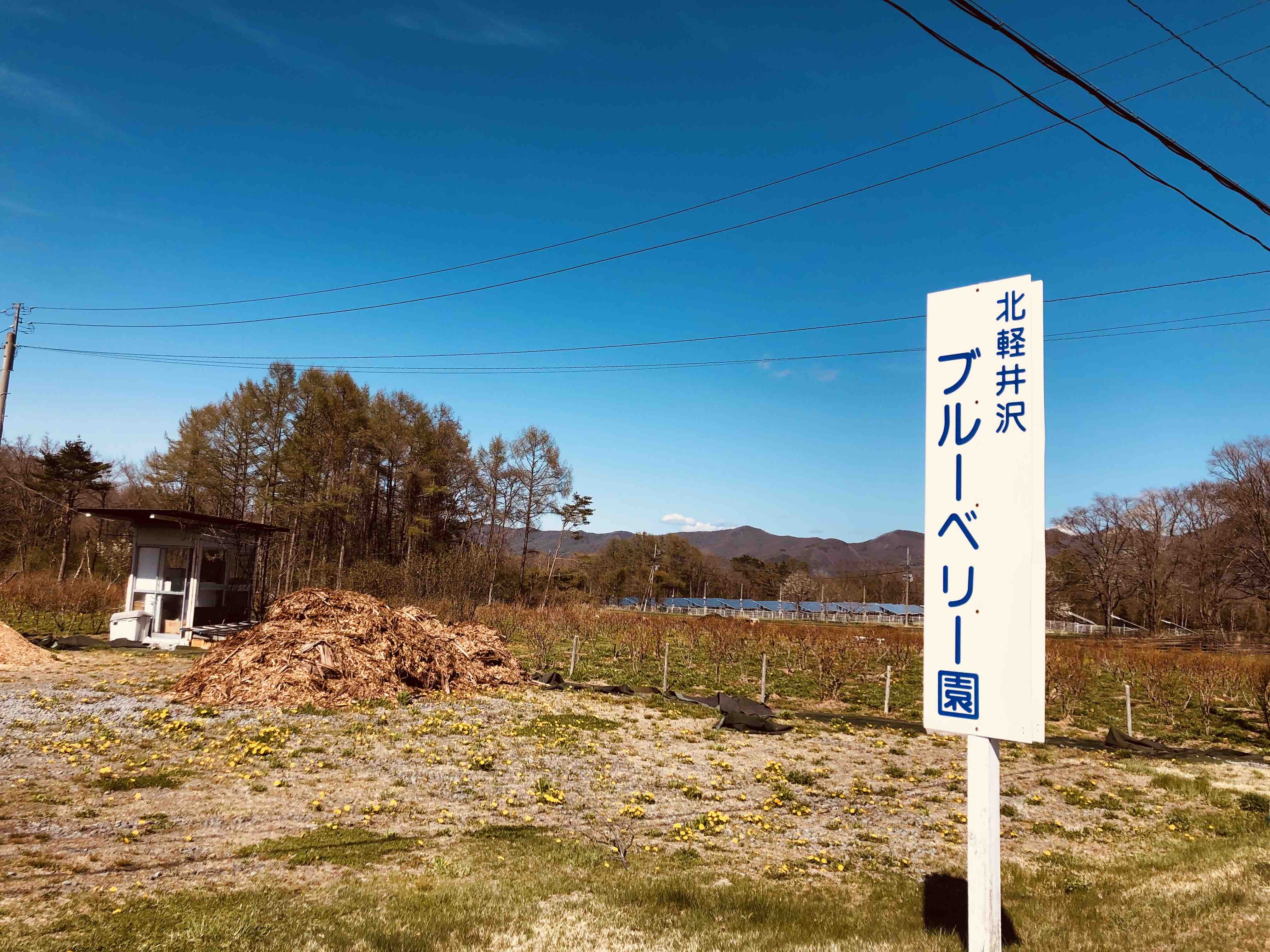 一棟貸しだから安心 1 000平米の広大な敷地で北軽井沢の大自然を満喫 家族 友人と非日常を体験 Houses For Rent In 大字 Tsumagoi Agatsuma Gun Gunma Japan 一棟貸しだから安心 1 000平米の広大な敷地で北軽井沢の大自然を満喫 家族 友人と非日常を体験 Houses For Rent In 大字 Tsumagoi Agatsuma Gun Gunma Japan