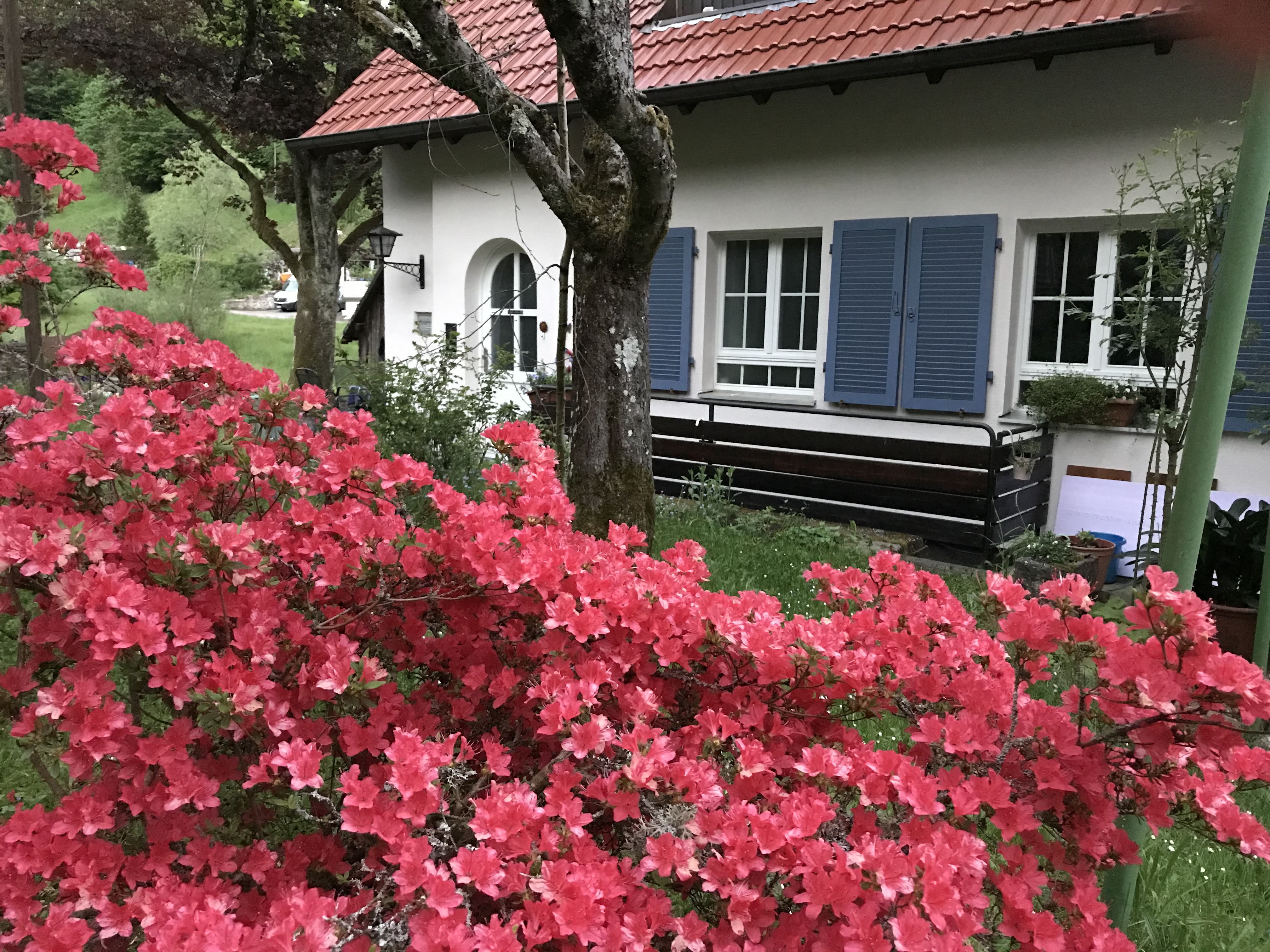 Baden-Baden *staying at home *close to town* close to nature*
