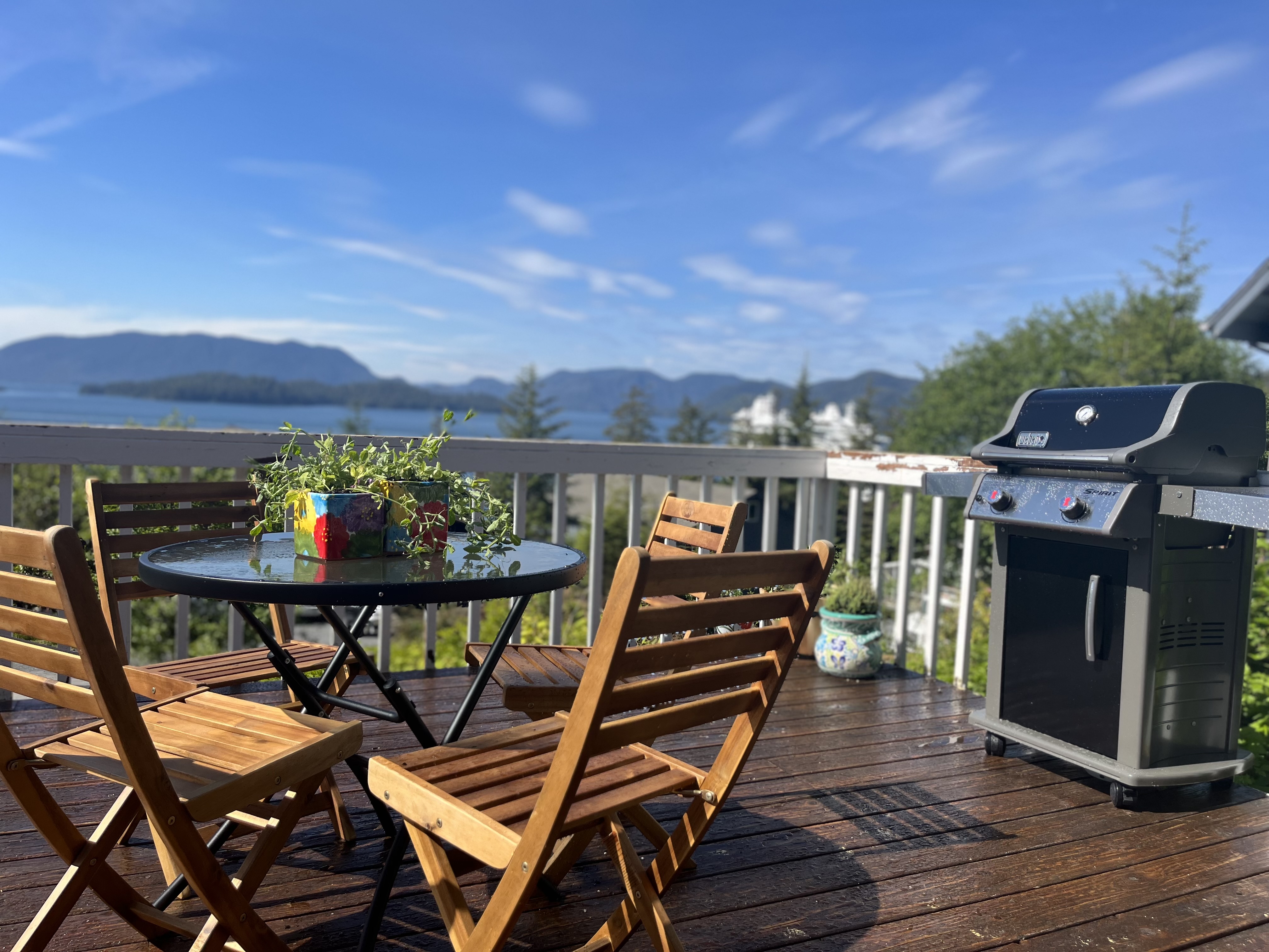 The Harbor Lookout: Stunning views and vehicle use