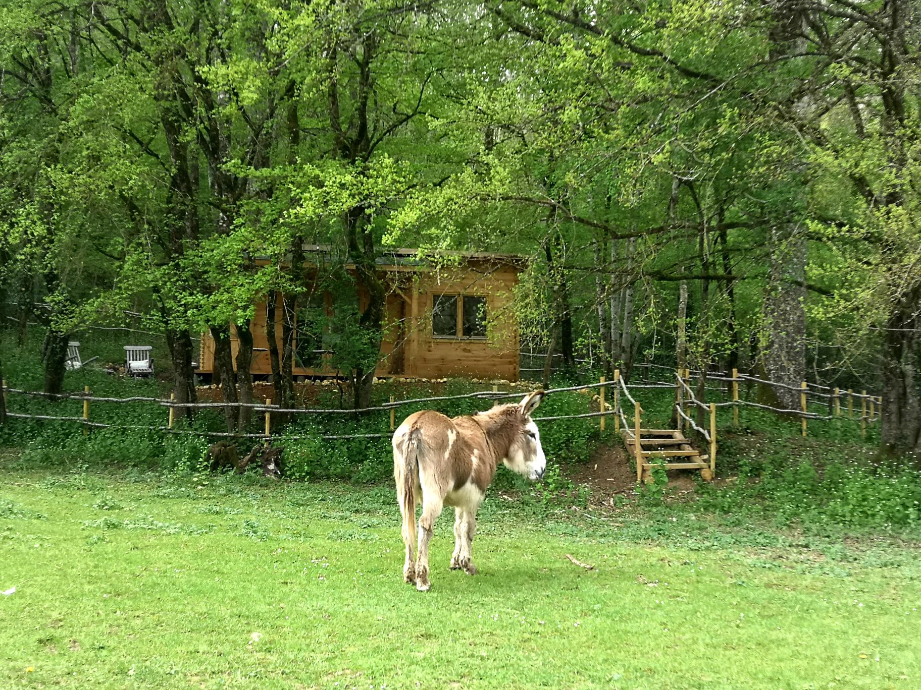 La Cabane des Bois