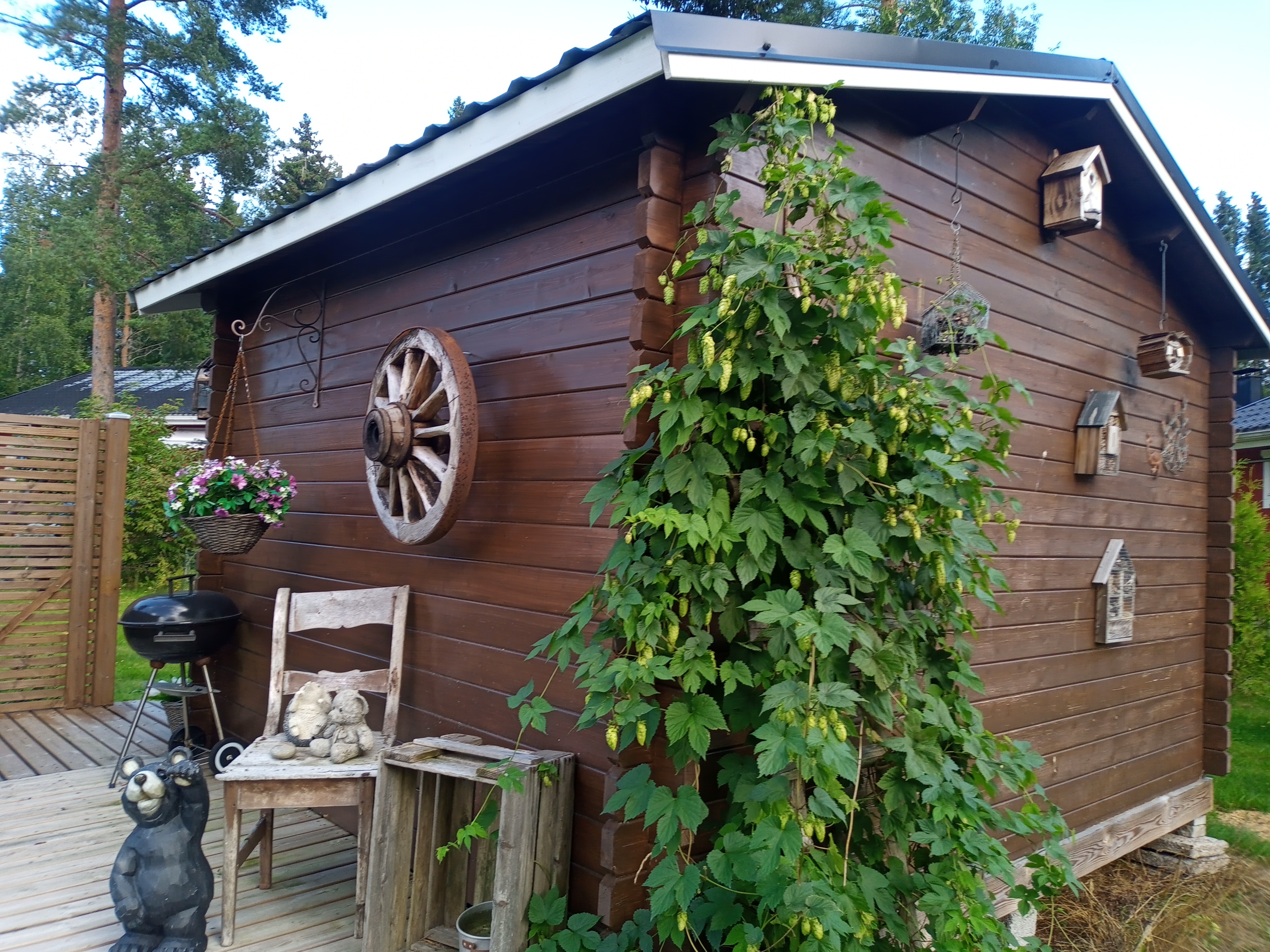 Yard cottage Villasukka - Guesthouses for Rent in Kauhajoki, Finland -  Airbnb