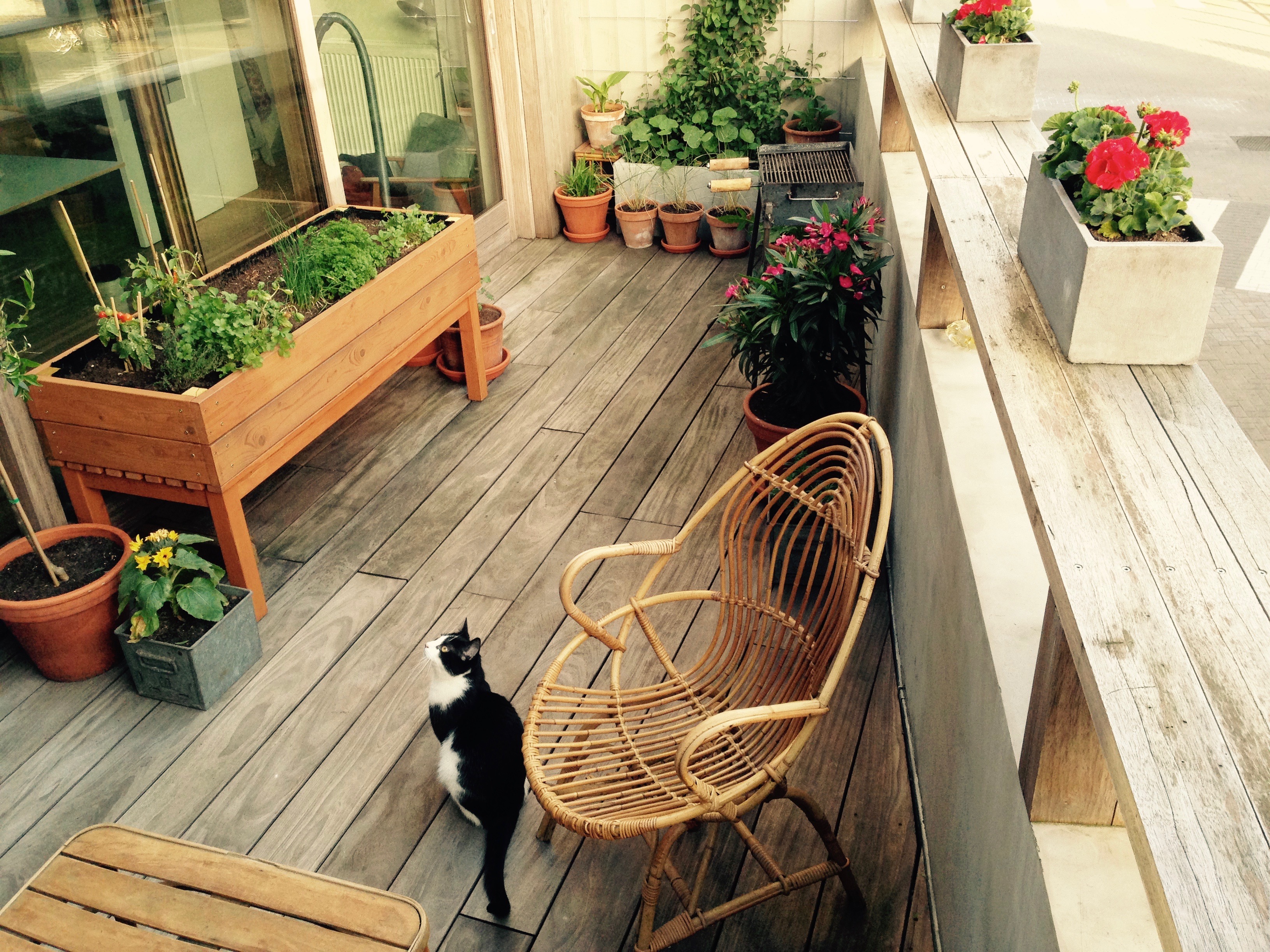 Soulful large house close to Ghent centre in Dampoort, Ghent