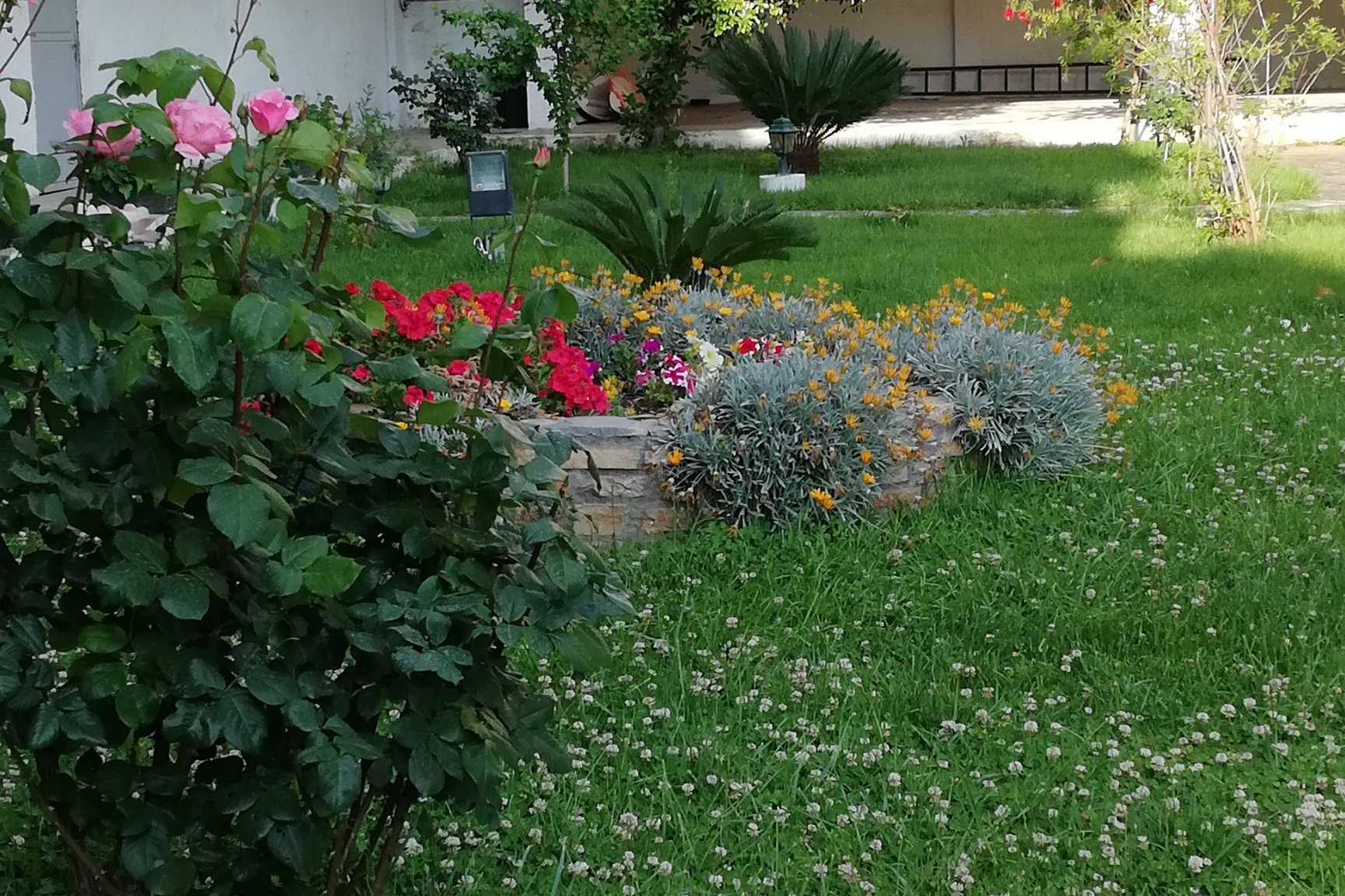 Cozy studio in Afissos, Pelion