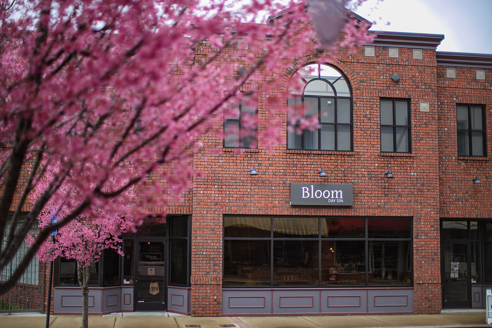 Luxury Loft In Historic Downtown Dickson Houses for Rent in Dickson