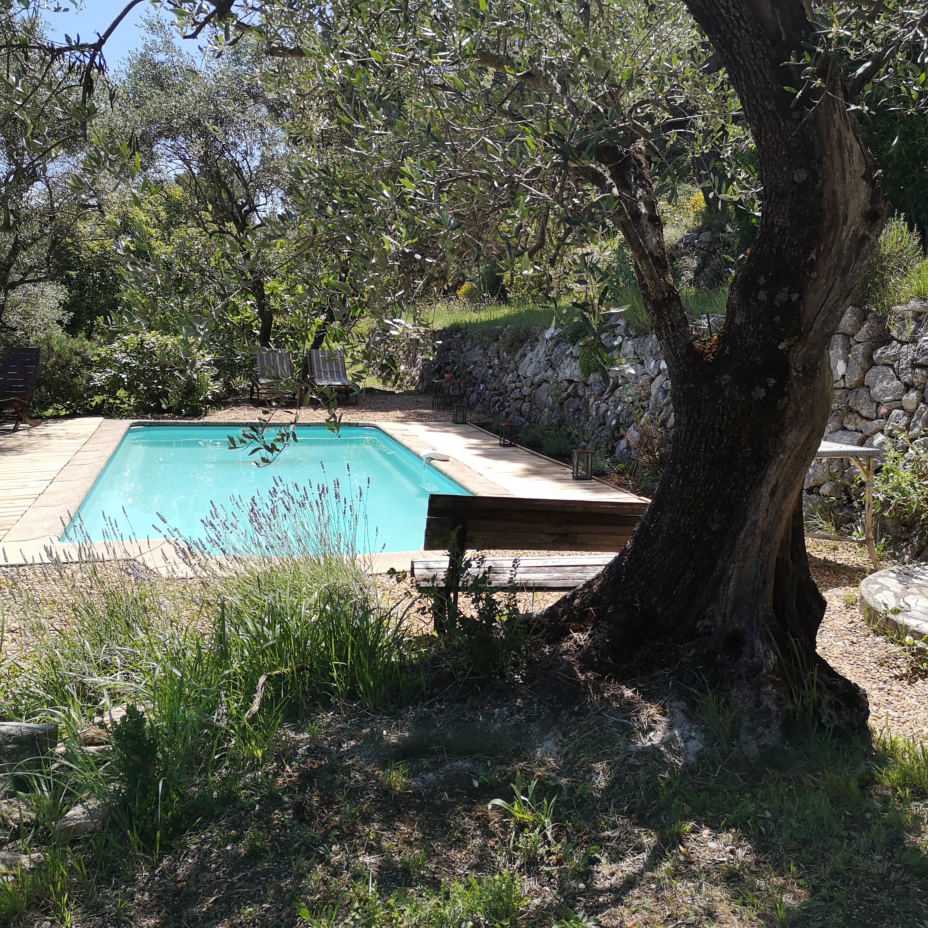 Charming little nature and quiet  Grasse house