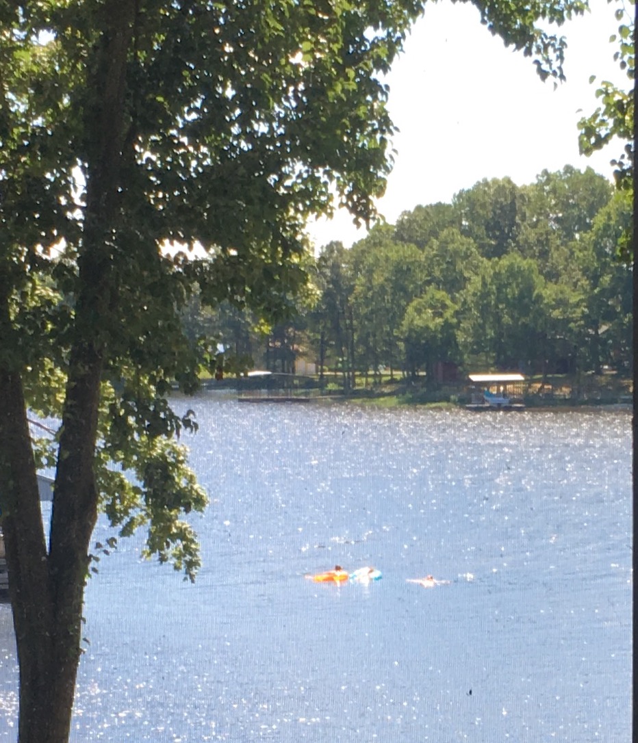 Lakefront cottage Lake of Egypt Kayaks, breakfast Cottages for Rent