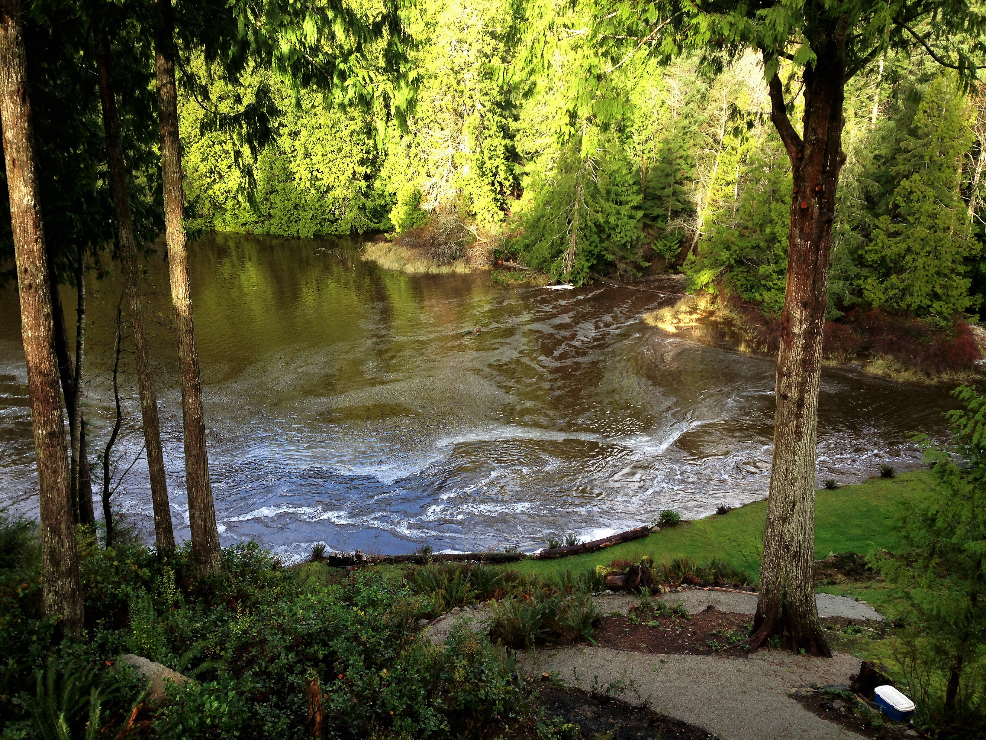 TIDAL DANCE: 