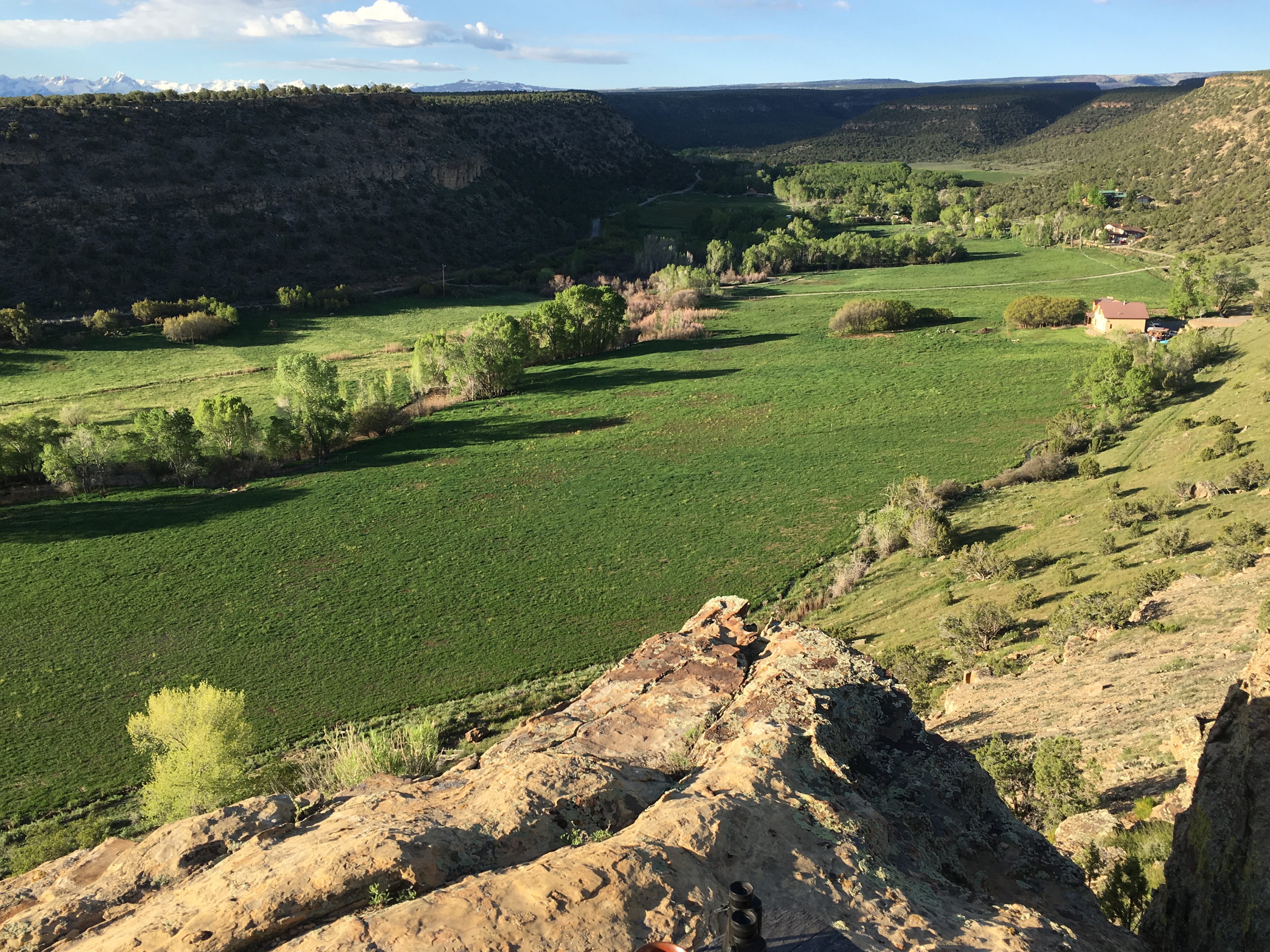 EaglesWings on Spring Canyon-Peaceful Cabin Views.