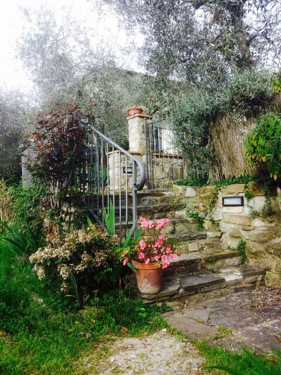 Charming house in Florence, Iris in Campo di Marte, Florence