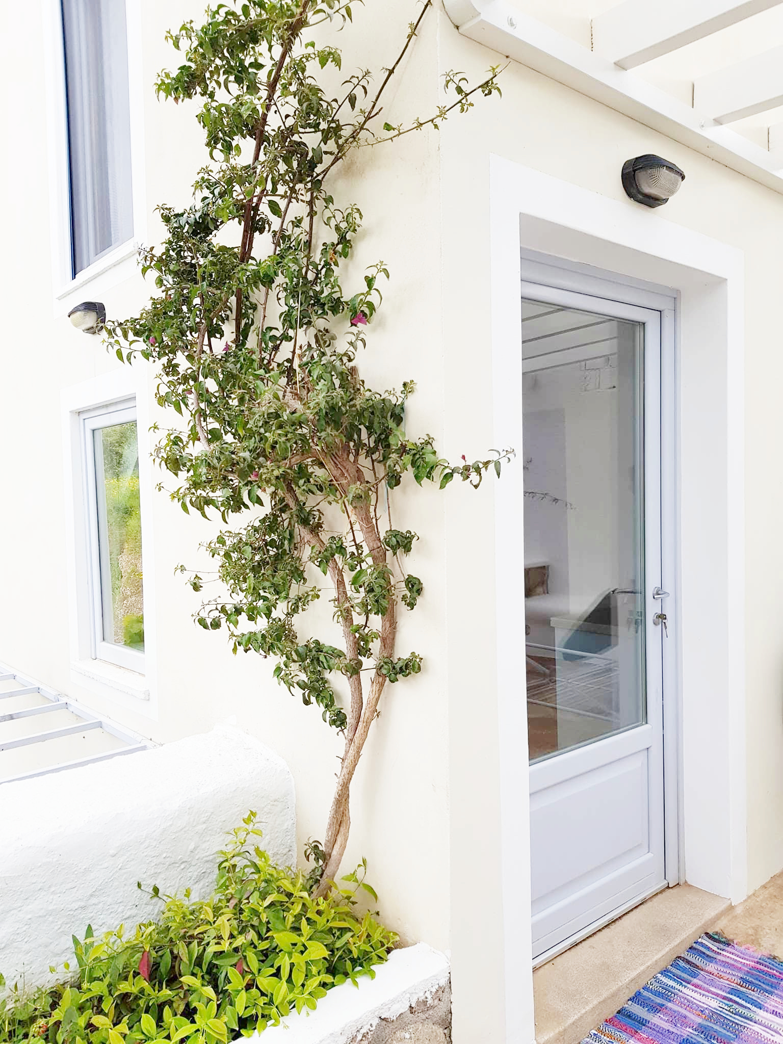Spetses lovely B΄ Suite.