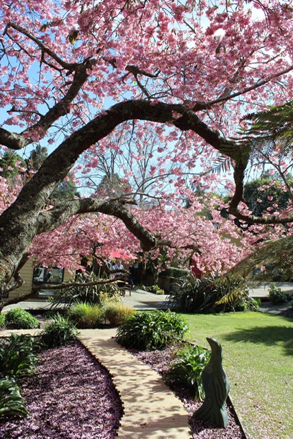 Cherry Tree House Seclusion By The River Guest Suites For Rent In New Plymouth Taranaki New Zealand