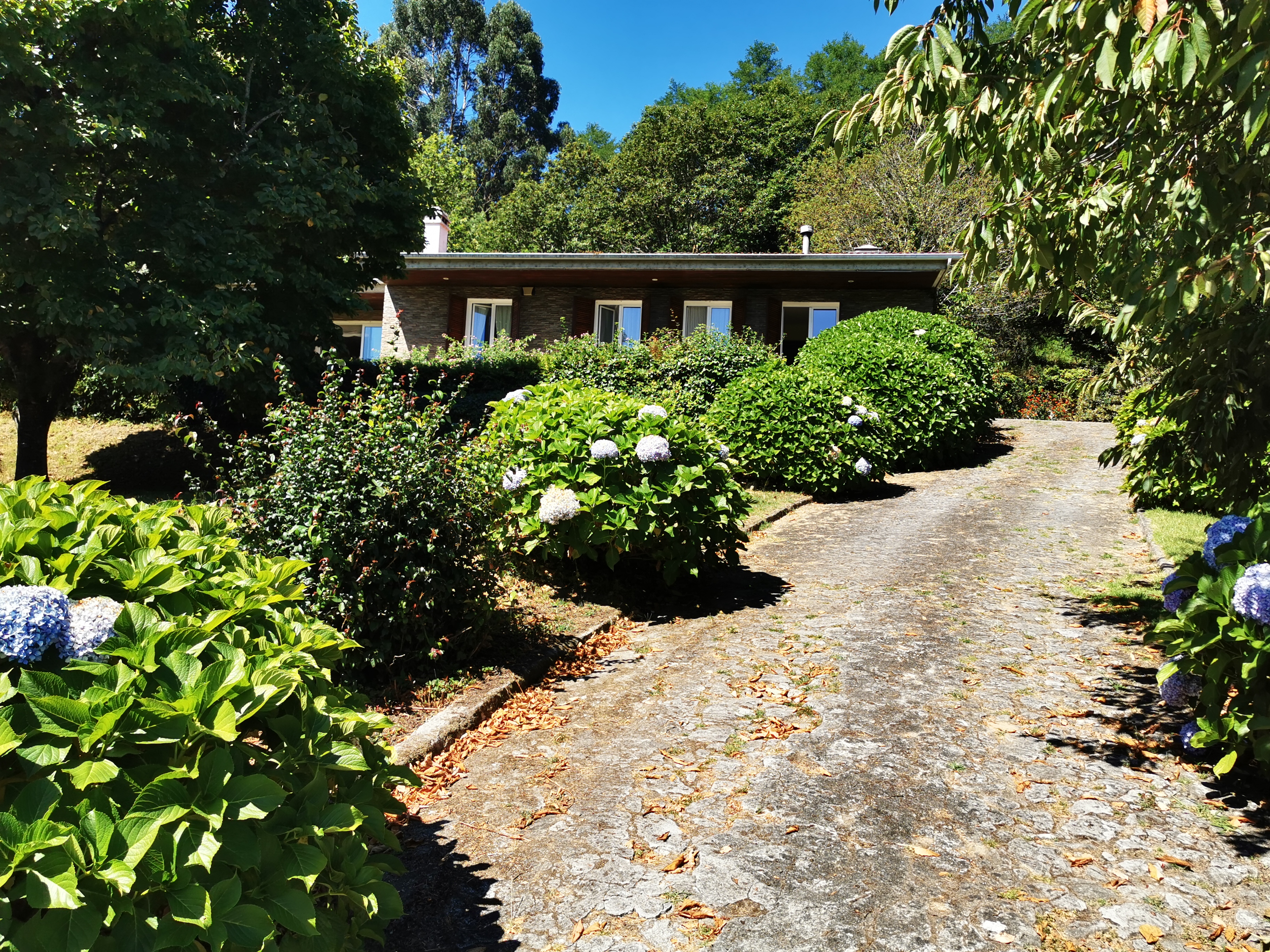 Quiet and spacious plot 3000m2 chalet