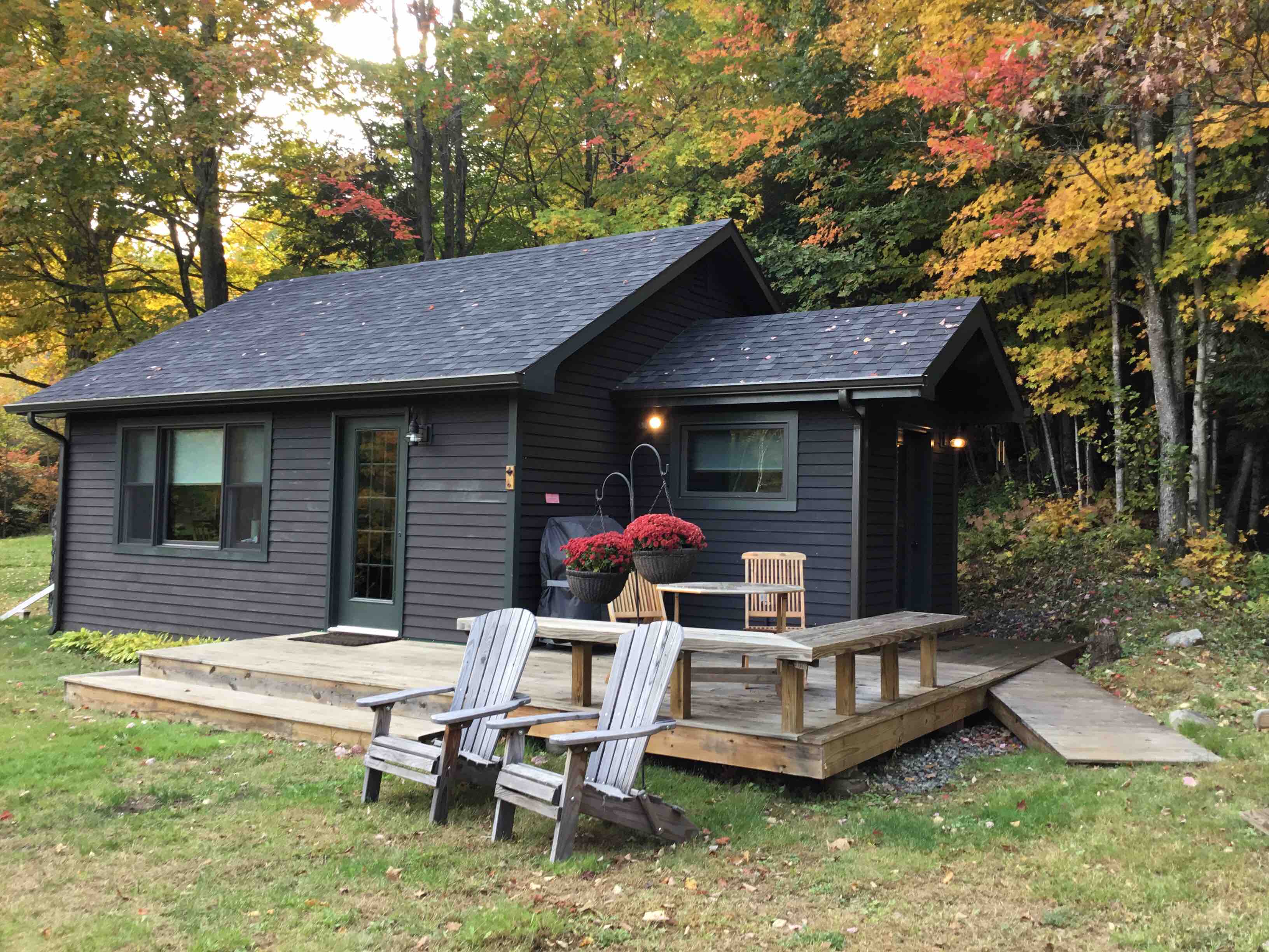 Bessie's Cabin with a View