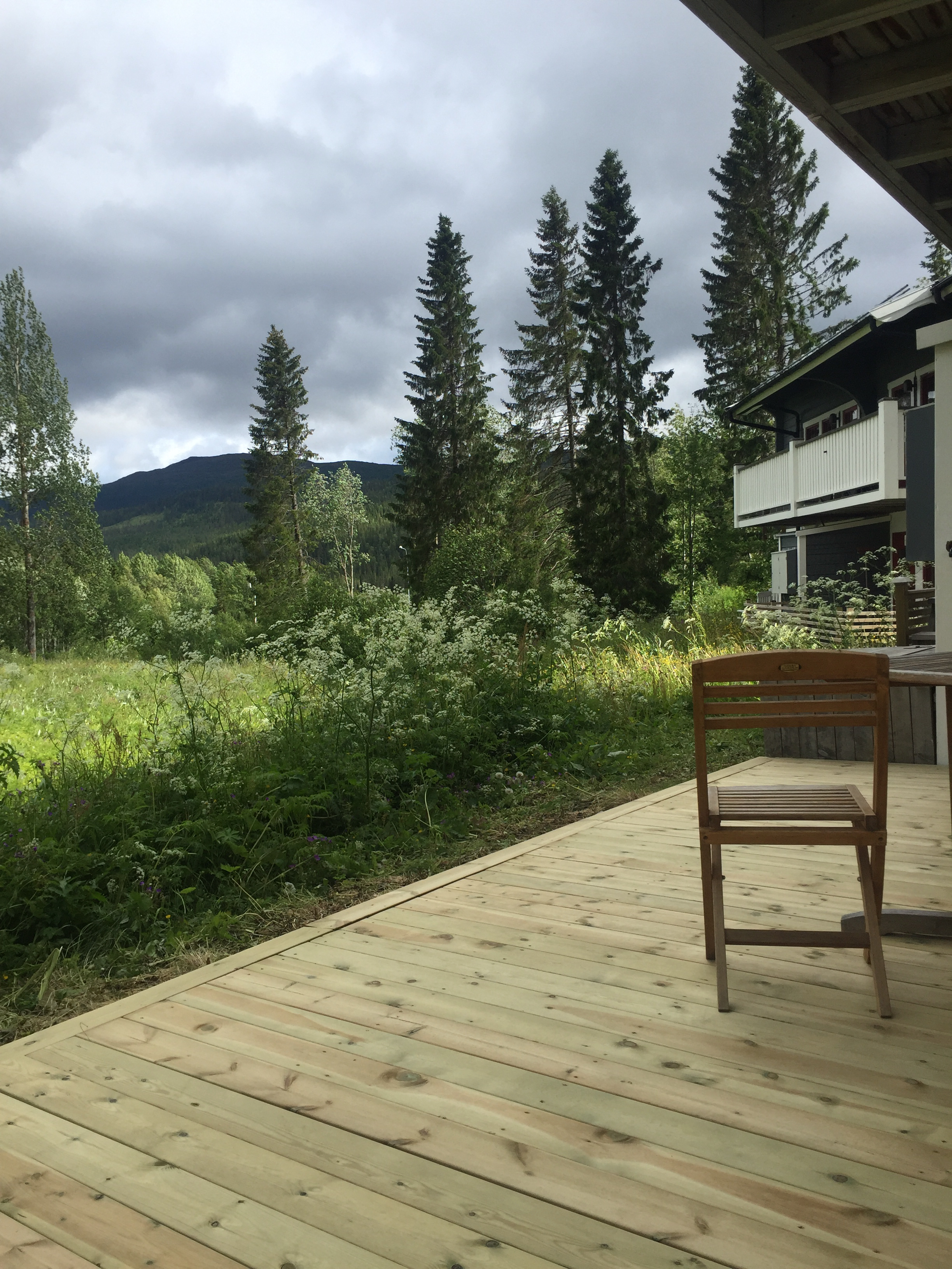 Cozy apartment with a nice view in Tegefjäll