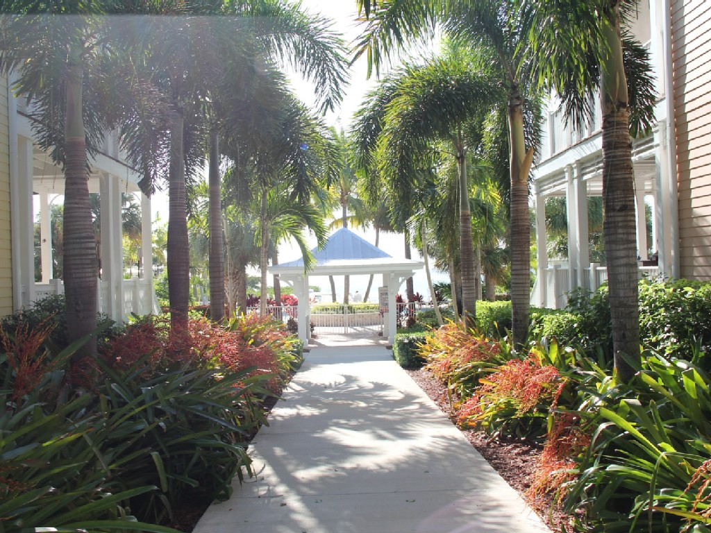 Anglers Reef is Oceanfront, Blue Marlin House2/2.5