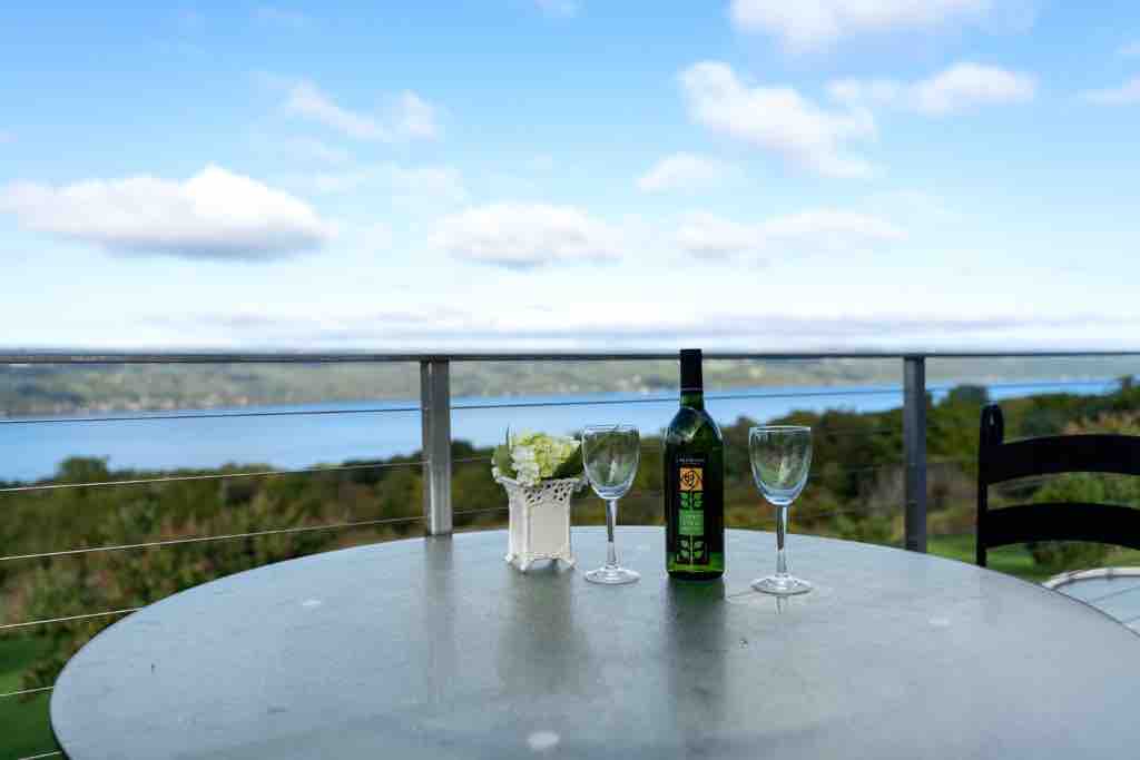 PRIVATE STUDIO APT WITH 10 MILE SENECA LAKE VIEW