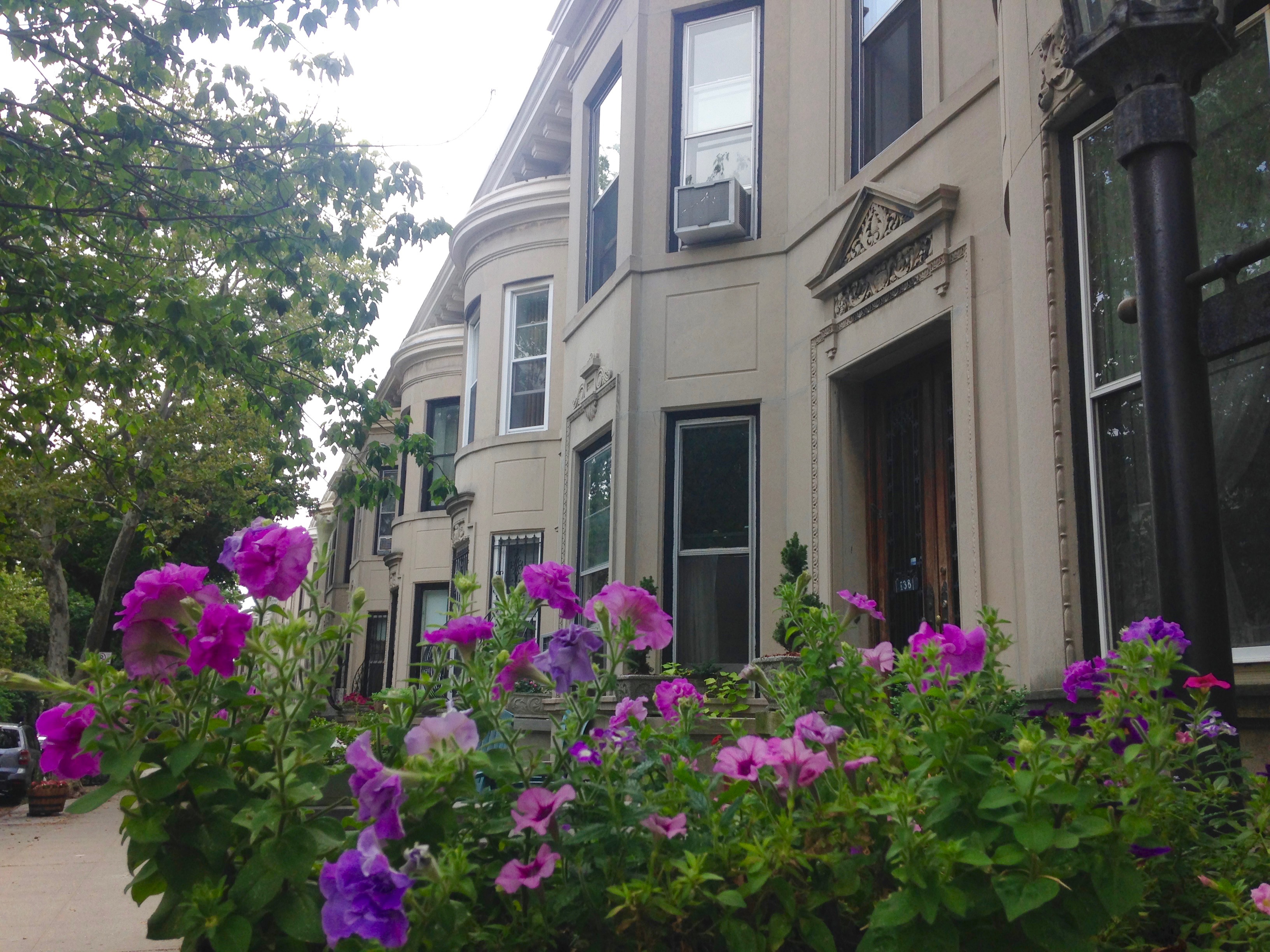 Brooklyn At Its Best!