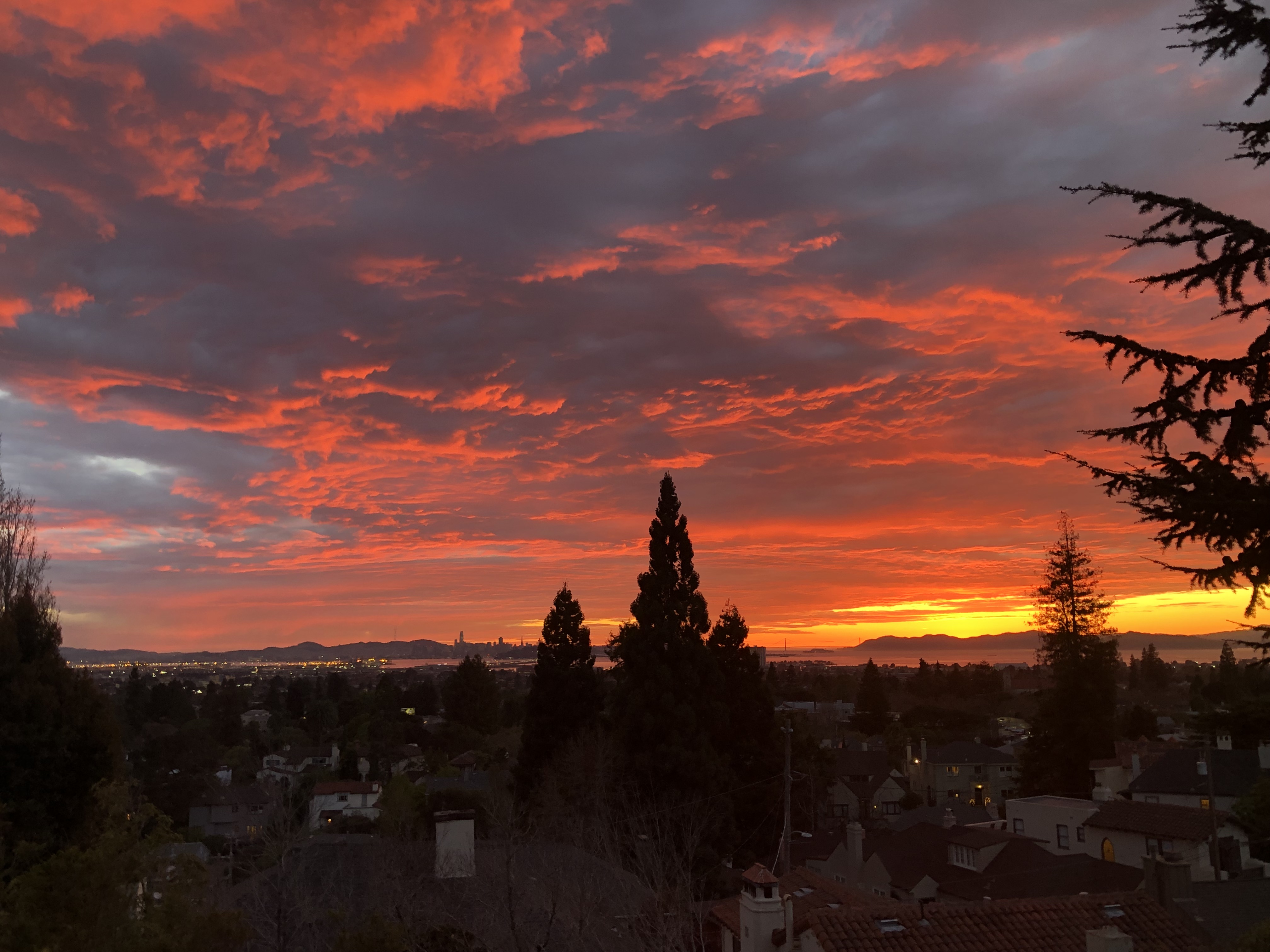 Bright, spacious Rockridge studio with views in Rockridge, Oakland