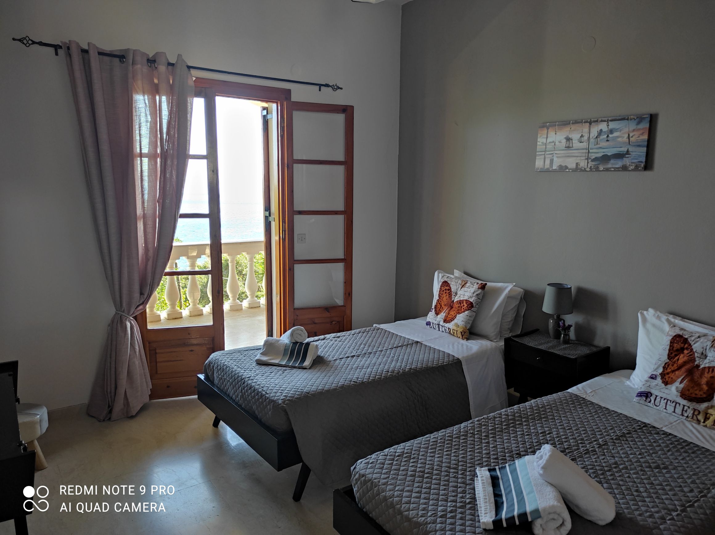 Callistemon apartment