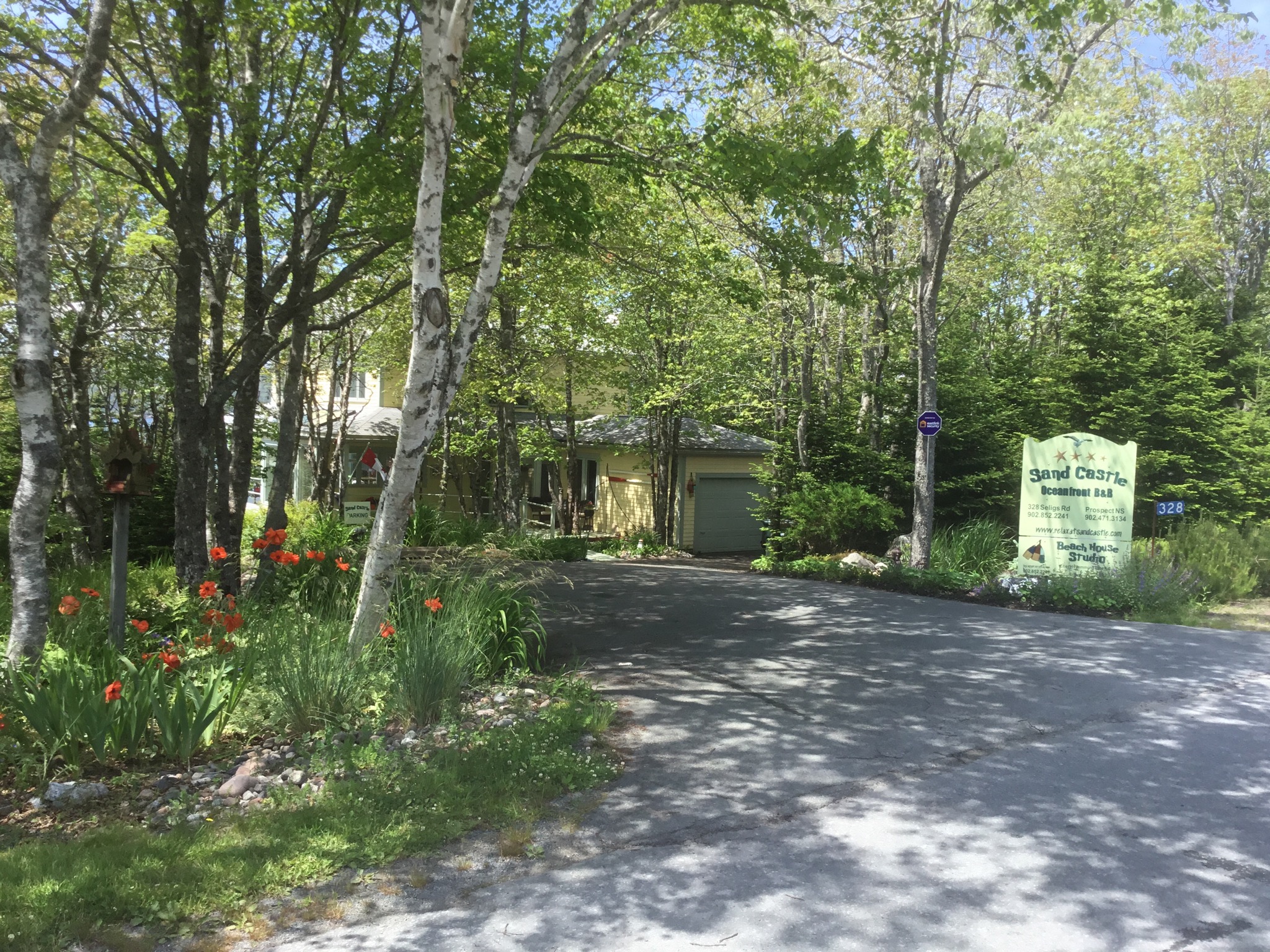 Sand Castle, Oceanfront, Bed & Breakfast, Suite. Bed and breakfasts