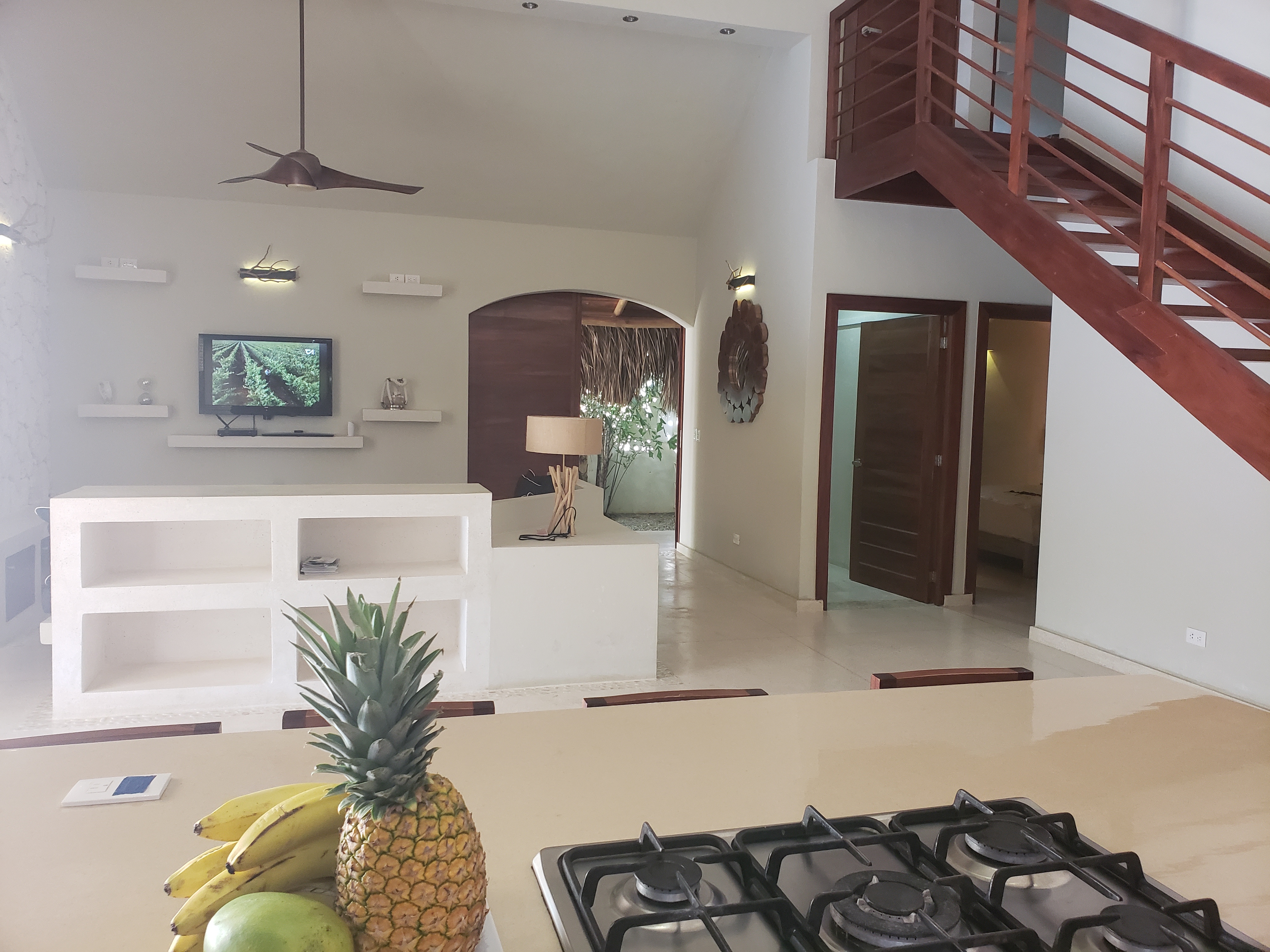 Villa Belle Vie Playa Ballenas Houses For Rent In Las Terrenas Samana Dominican Republic
