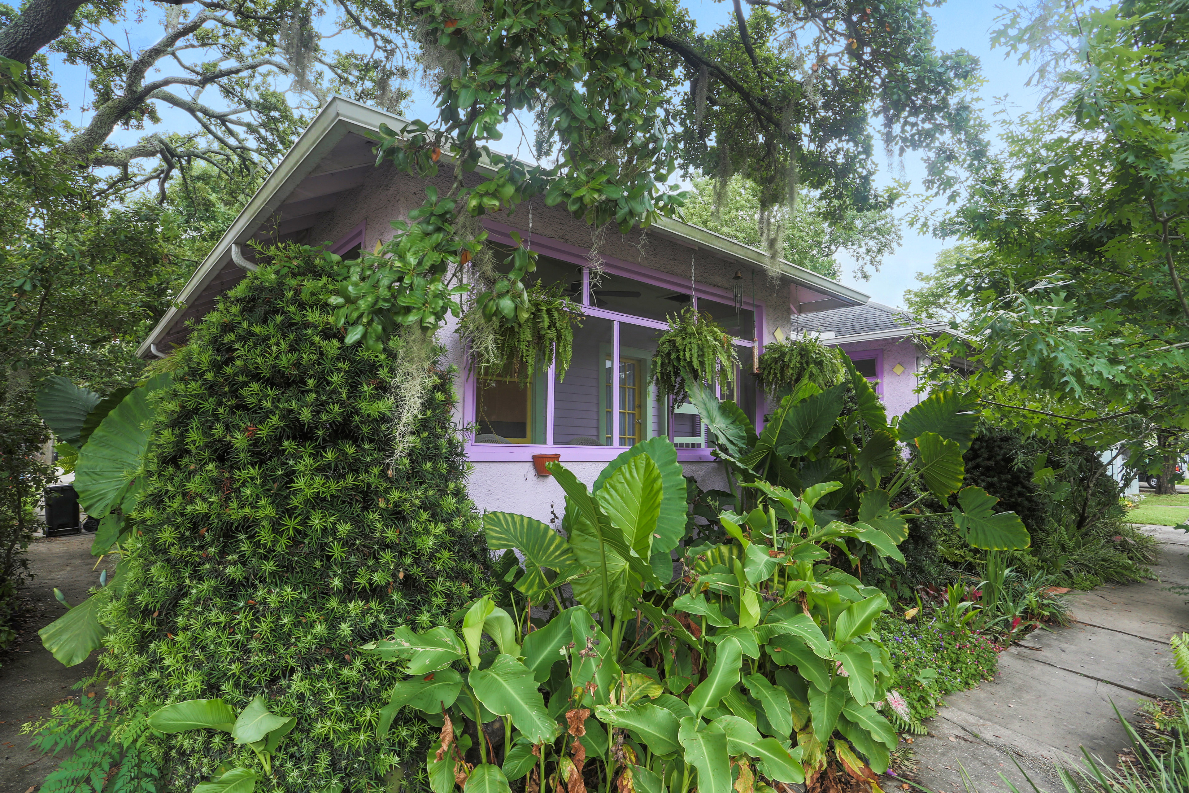 The Purple House by Tulane in Audubon, New Orleans