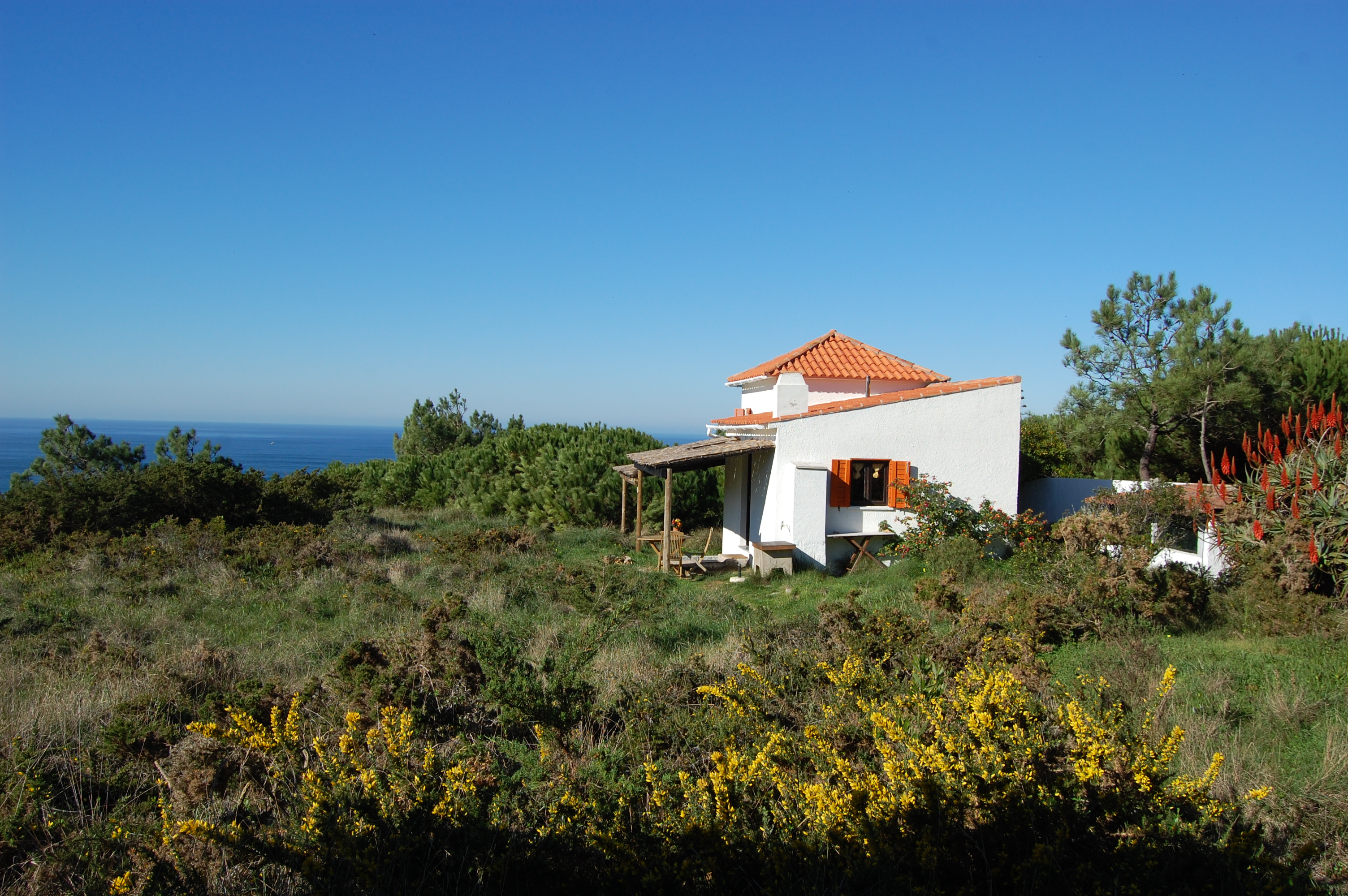 AAmong the gorse and the breeze in So Joo das Lampas e Terrugem, Lisbon