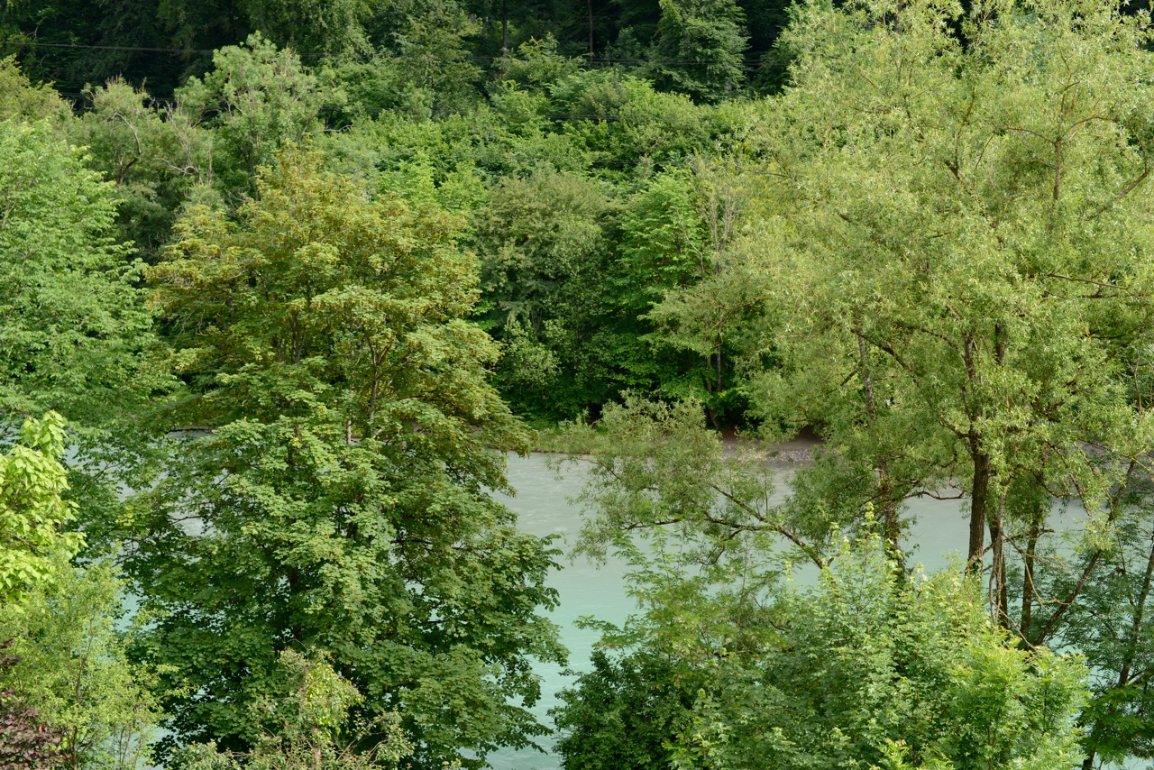 Bern - Room with a view  - right on the Aare