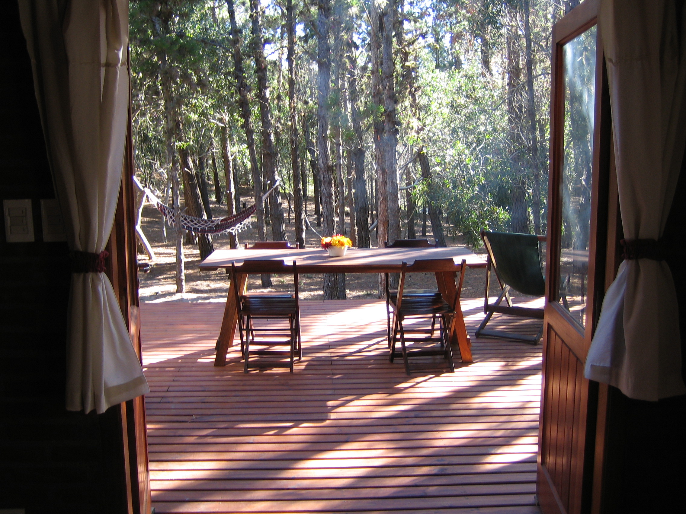 Seminar para you and your pet Mar de las Pampas
